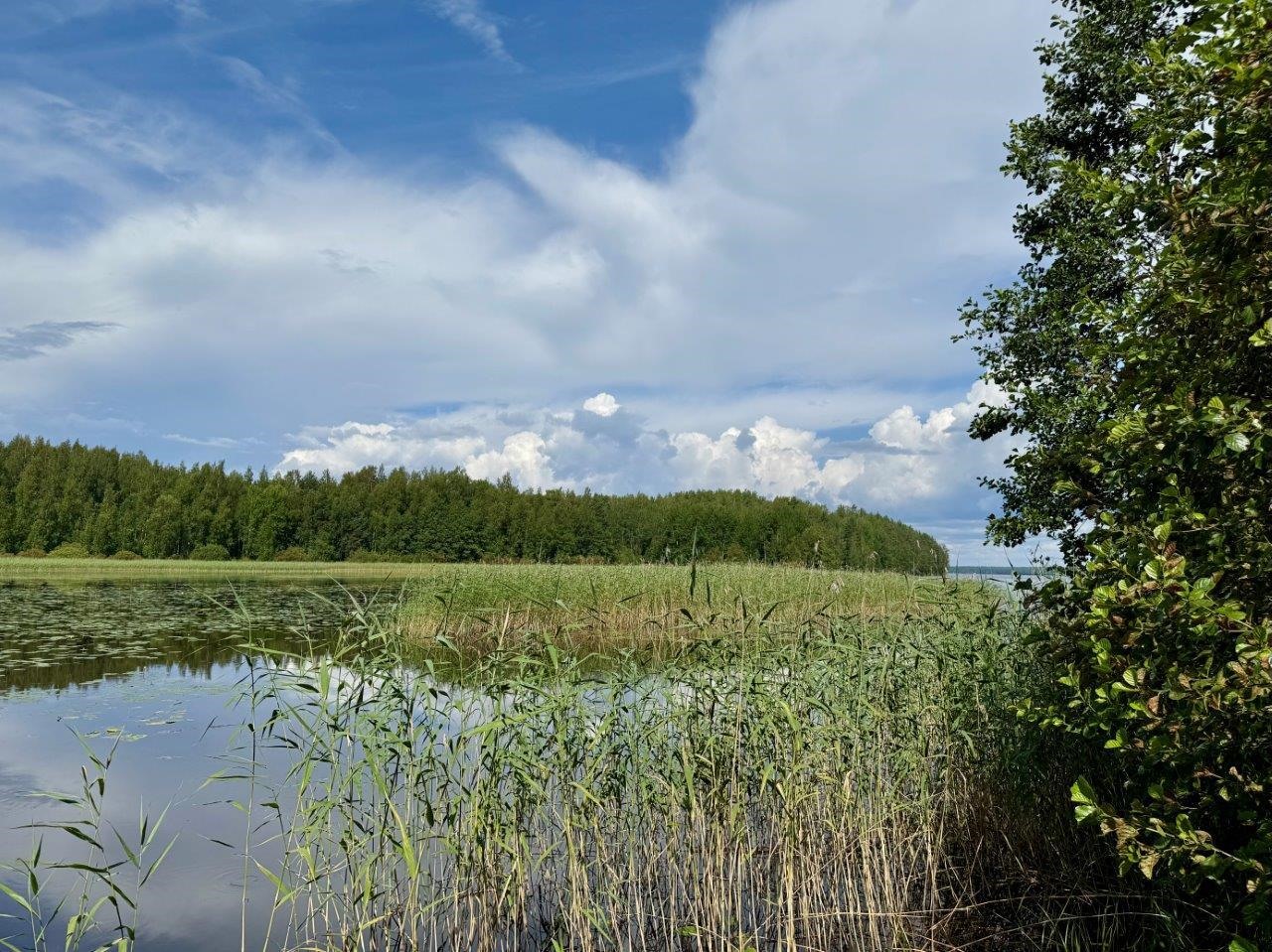 Kohdekuva 32