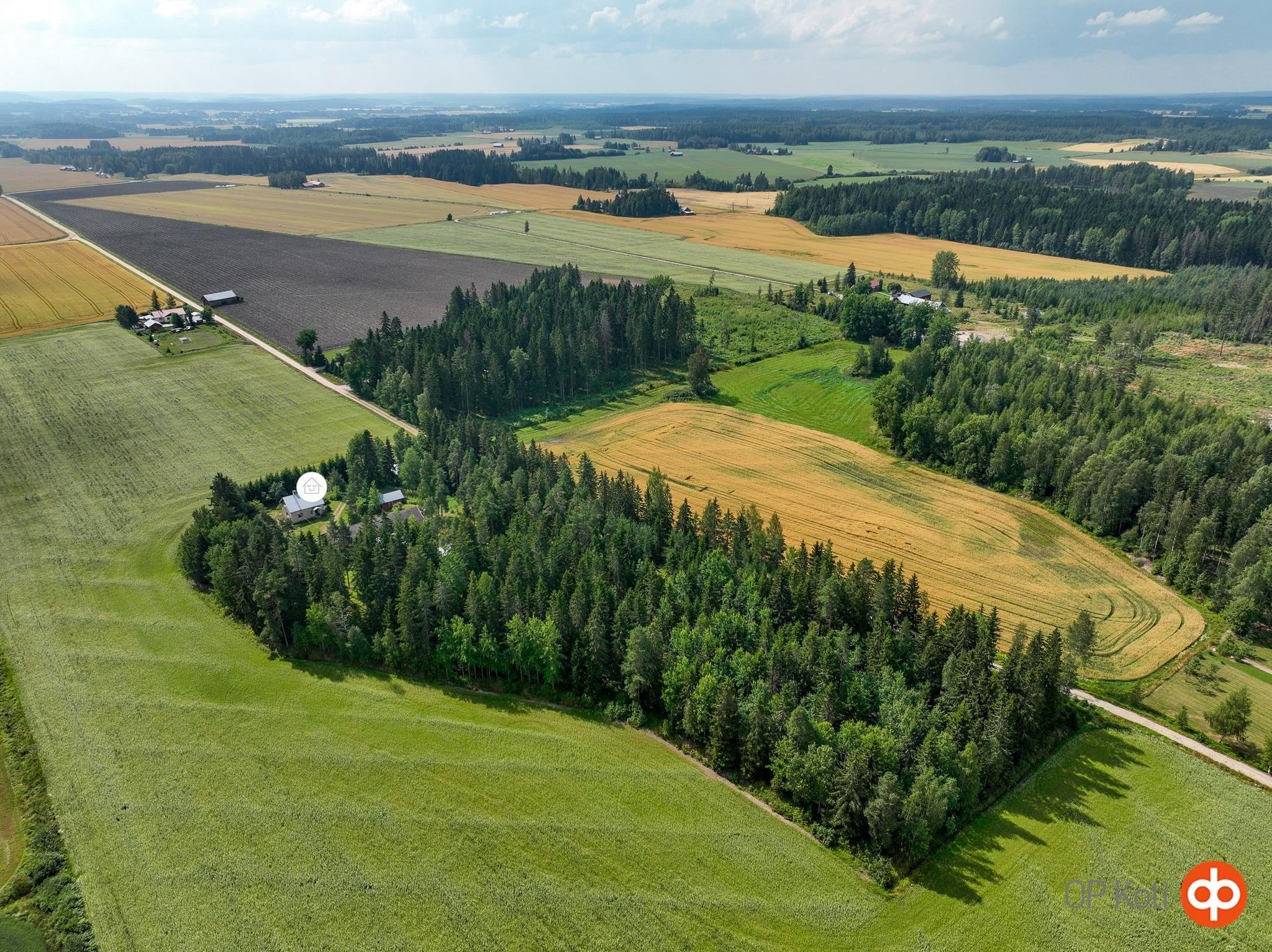 Kohdekuva 45