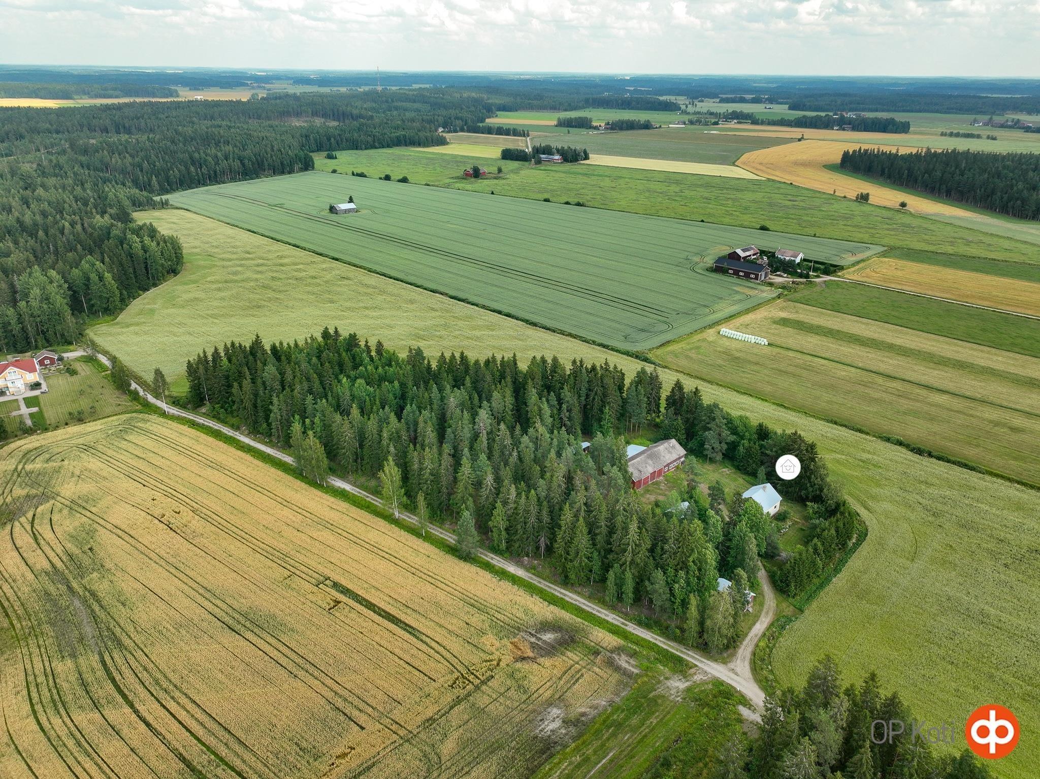 Kohdekuva 46