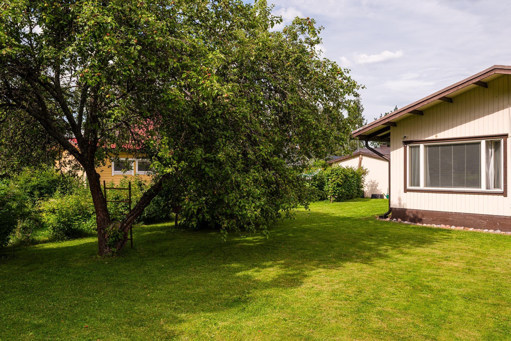 Kohdekuva 31