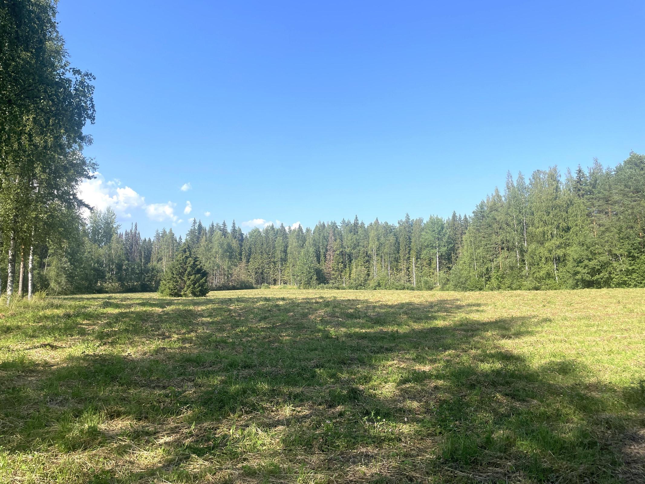 Kohdekuva 28