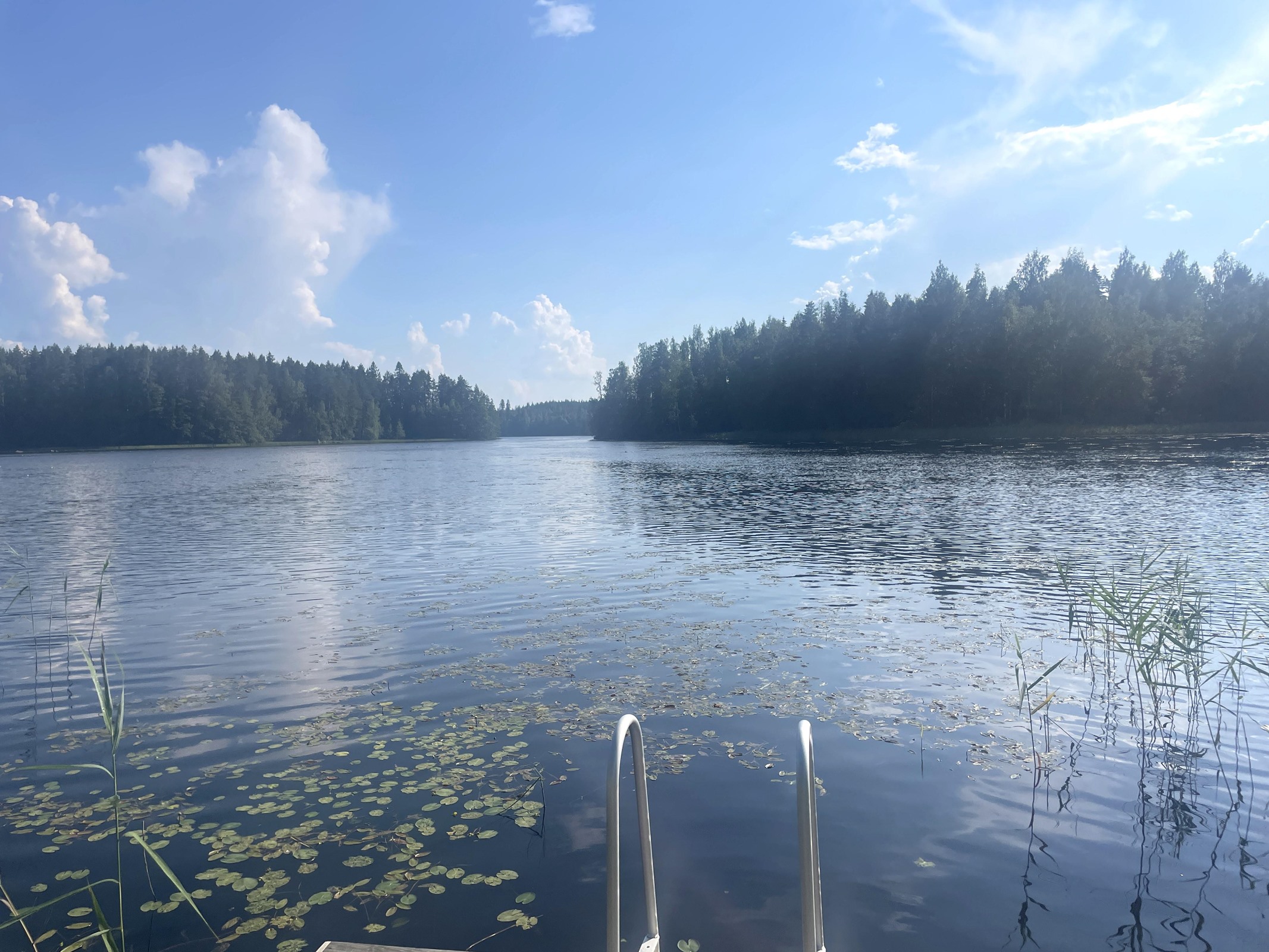 Kohdekuva 31