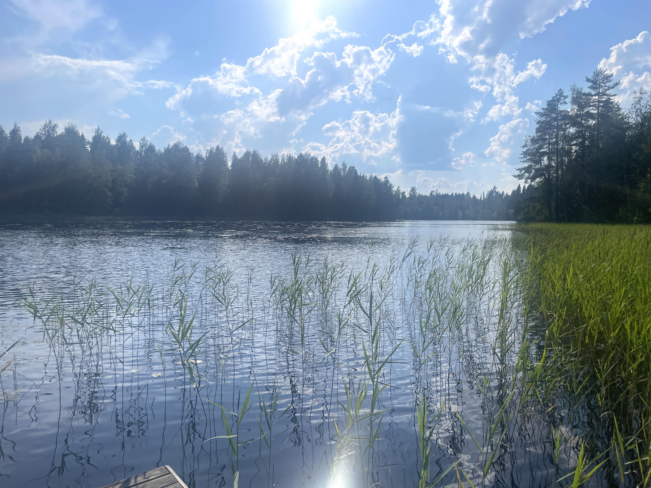 Kohdekuva 33