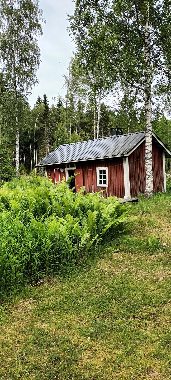 Kohdekuva 13