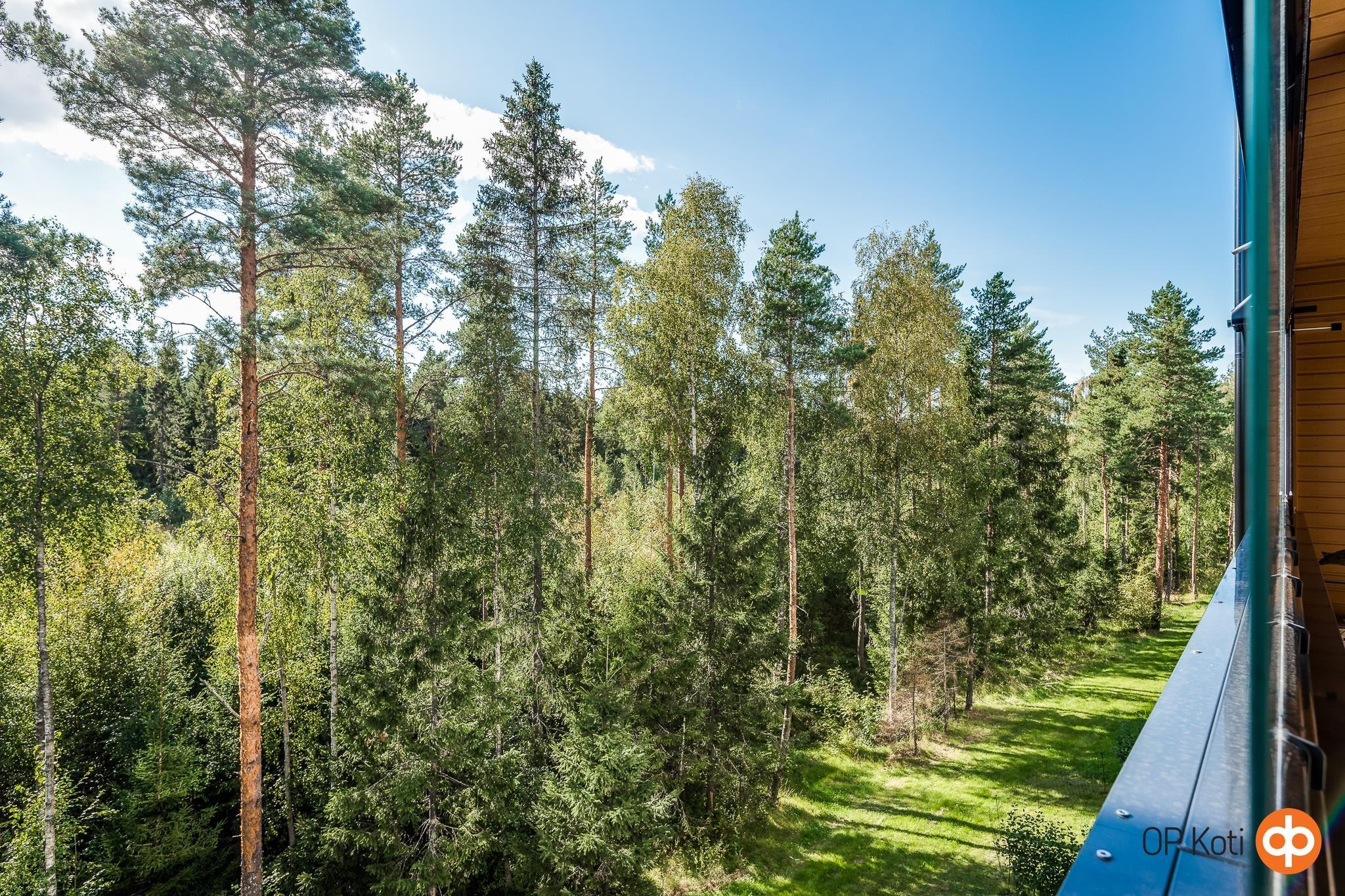 Kohdekuva 29
