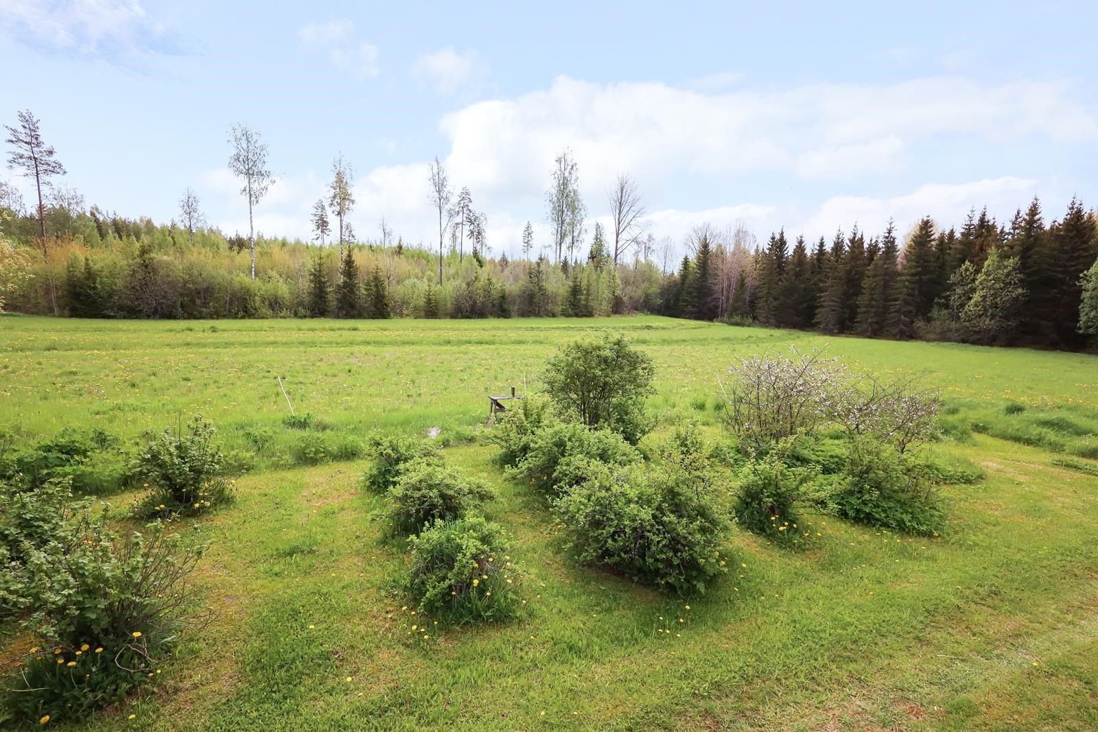 Kohdekuva 15