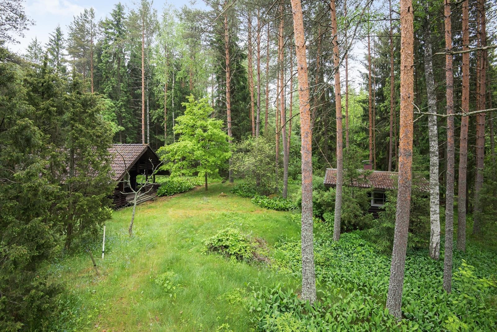 Kohdekuva 15