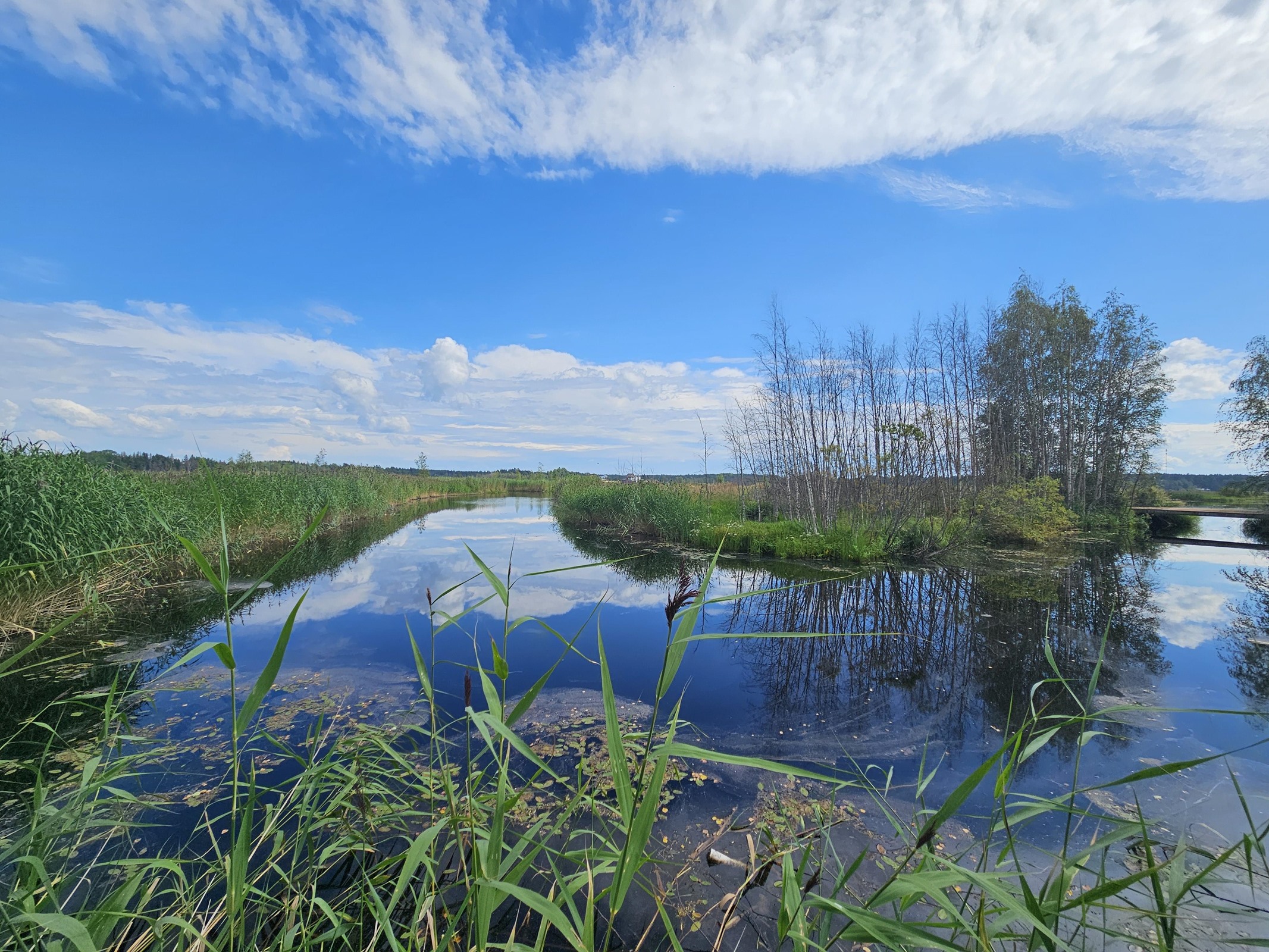 Kohdekuva 2
