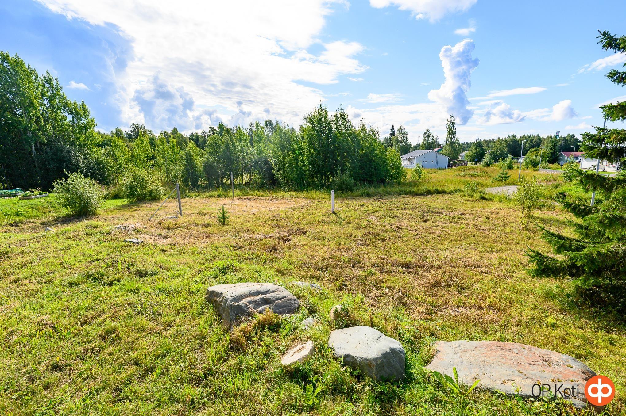 Kohdekuva 36