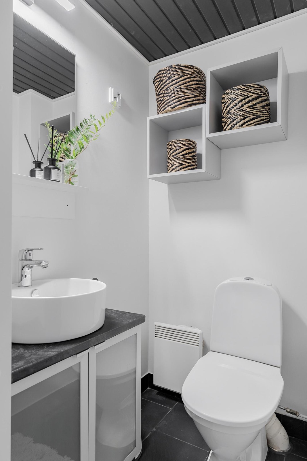 kaksi erillistä wc