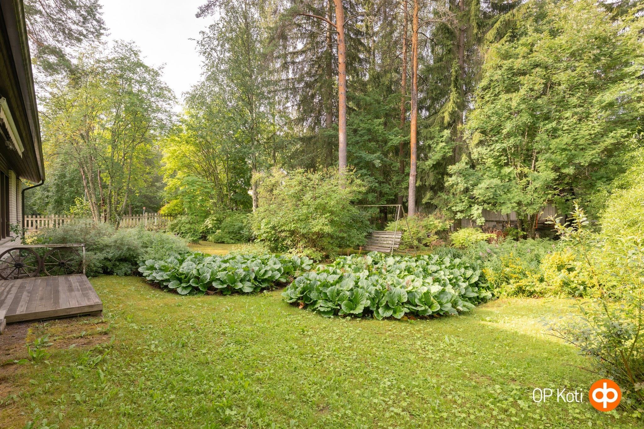 Kohdekuva 24