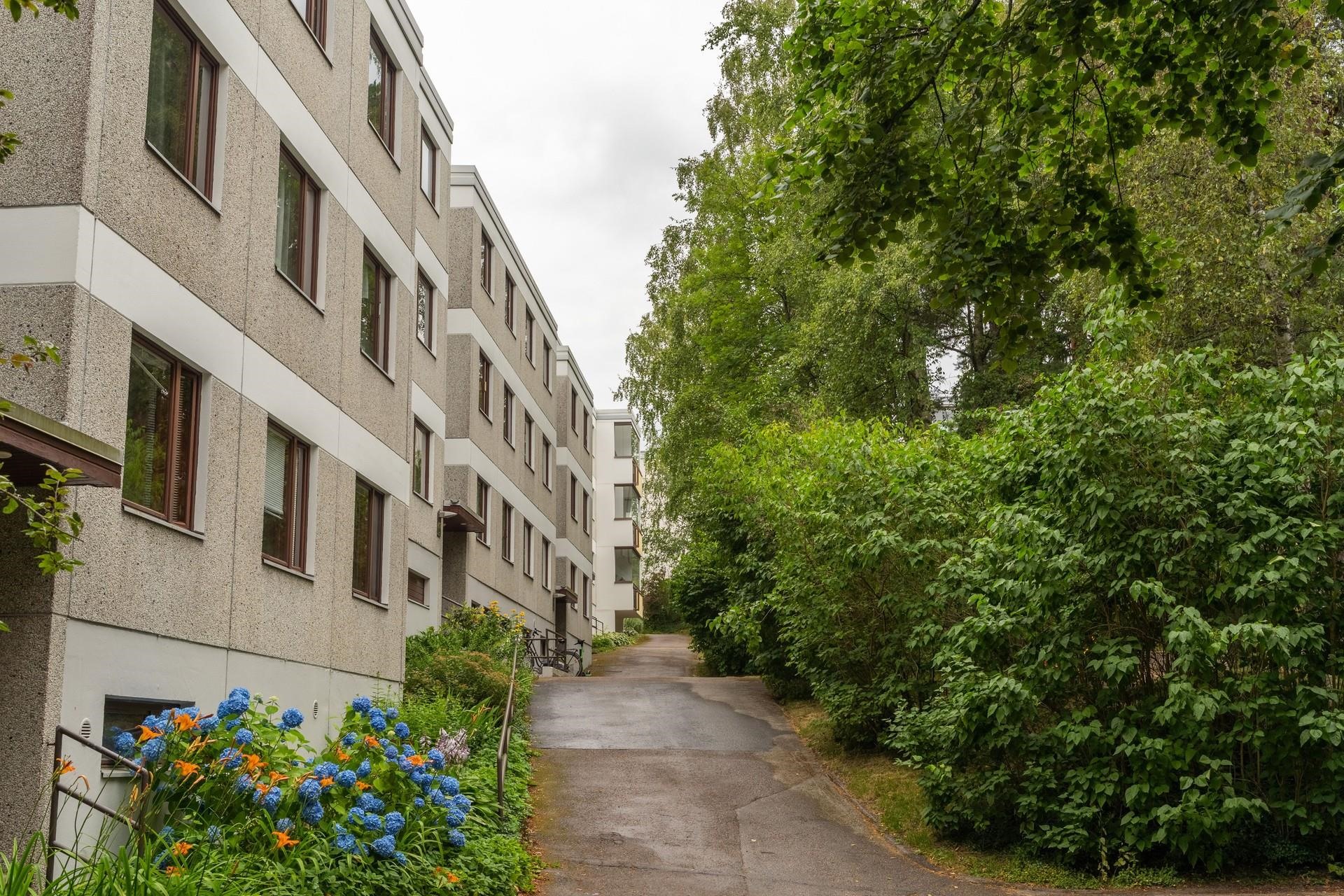 Kohdekuva 17