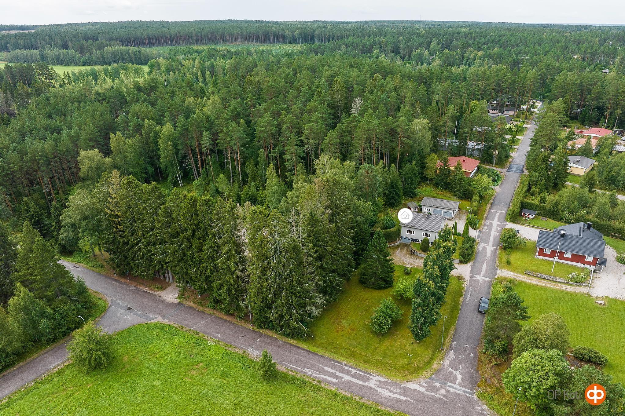 Kohdekuva 42