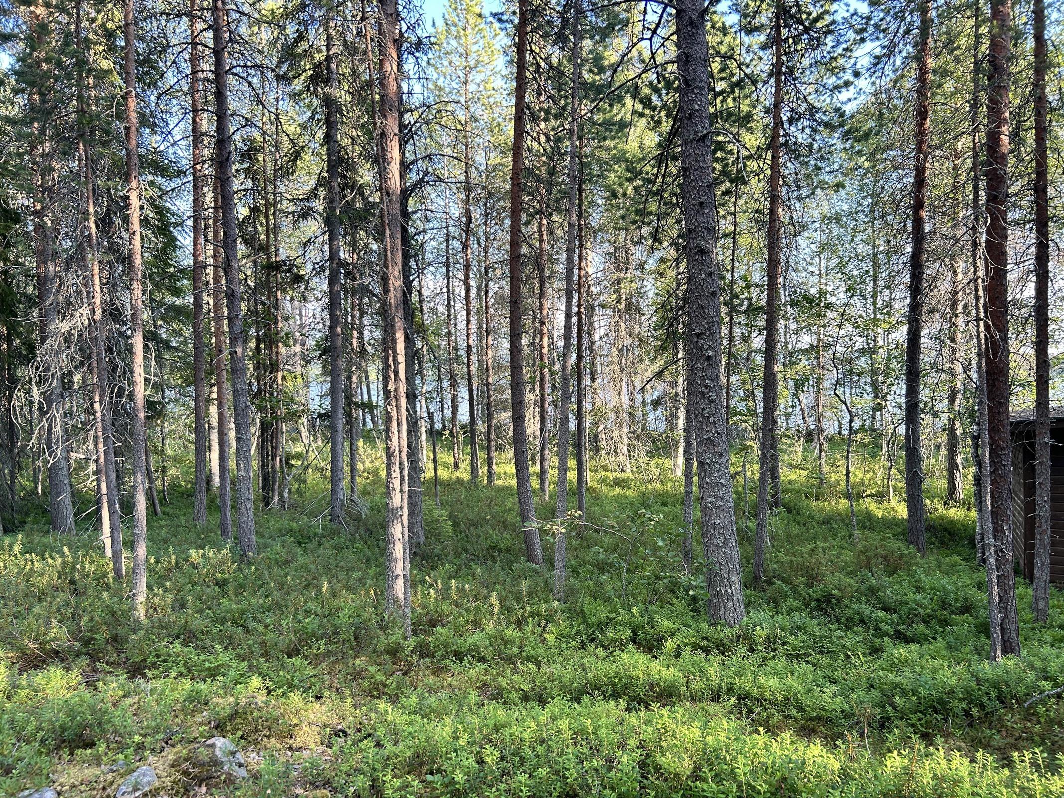 Kohdekuva 13