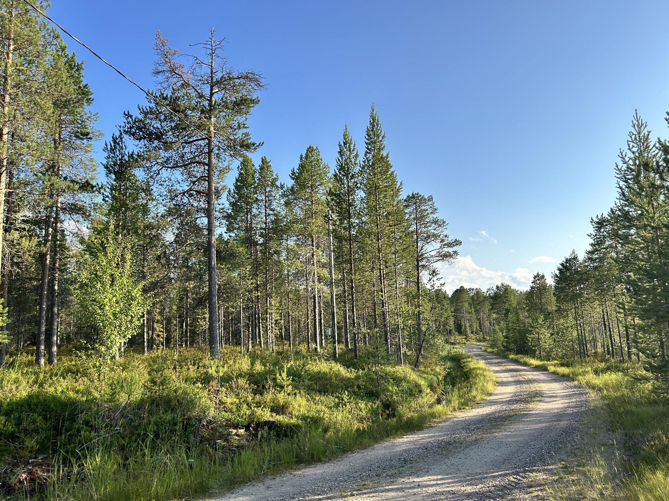 Kohdekuva 20