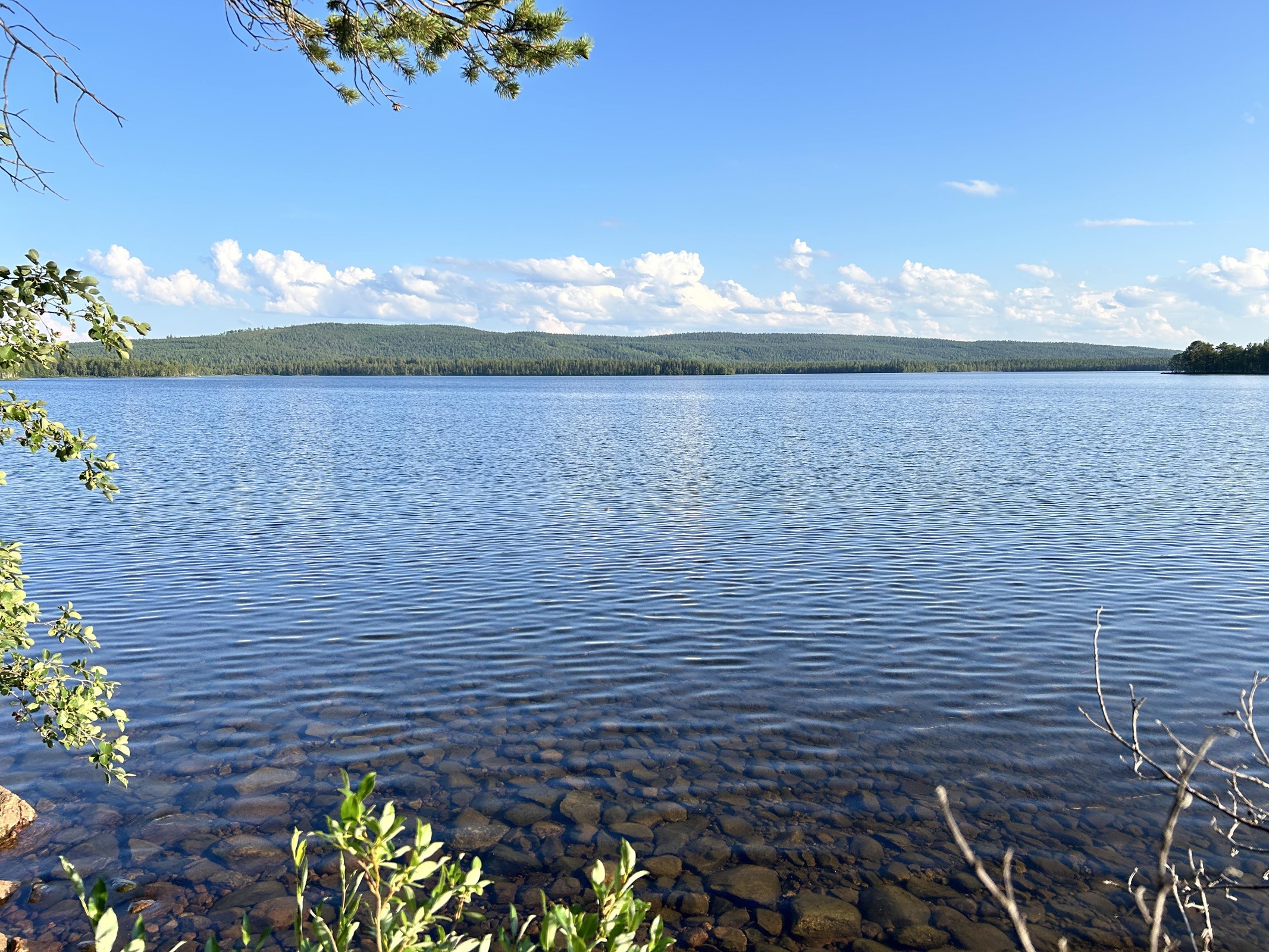 Kohdekuva 8