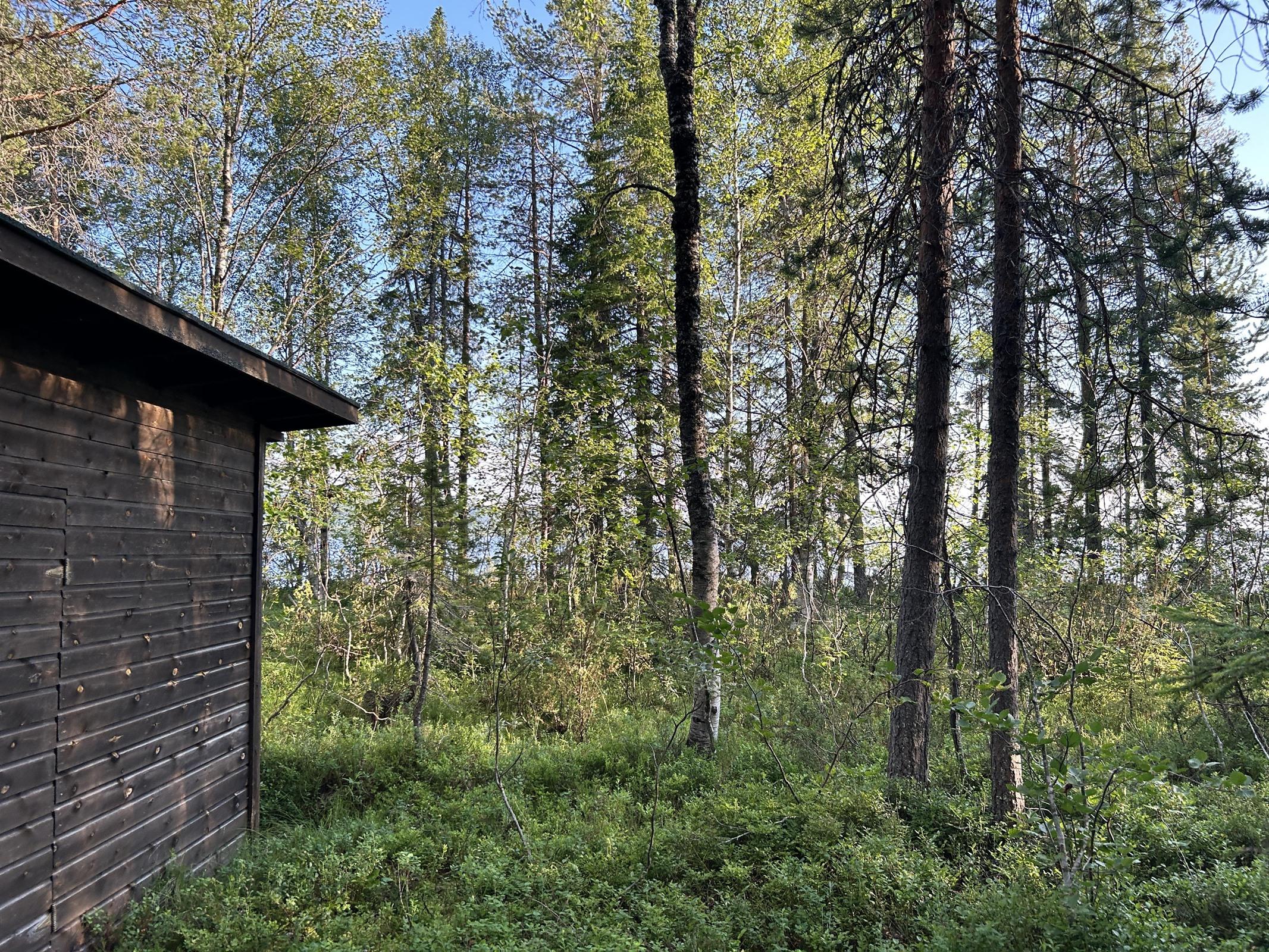Kohdekuva 11