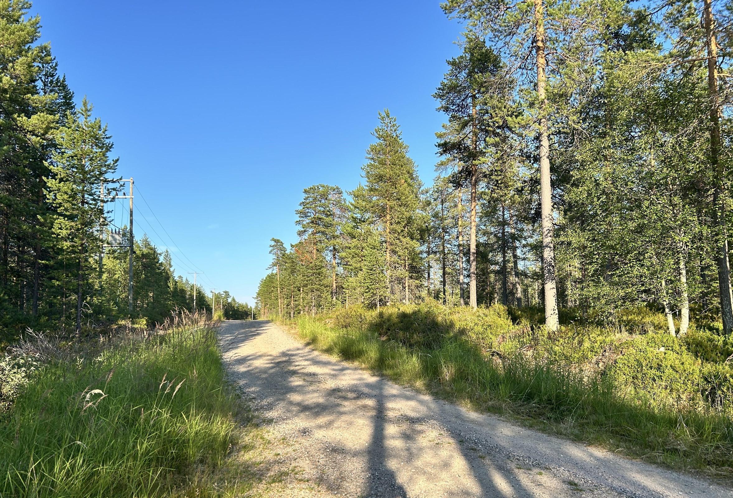 Kohdekuva 19