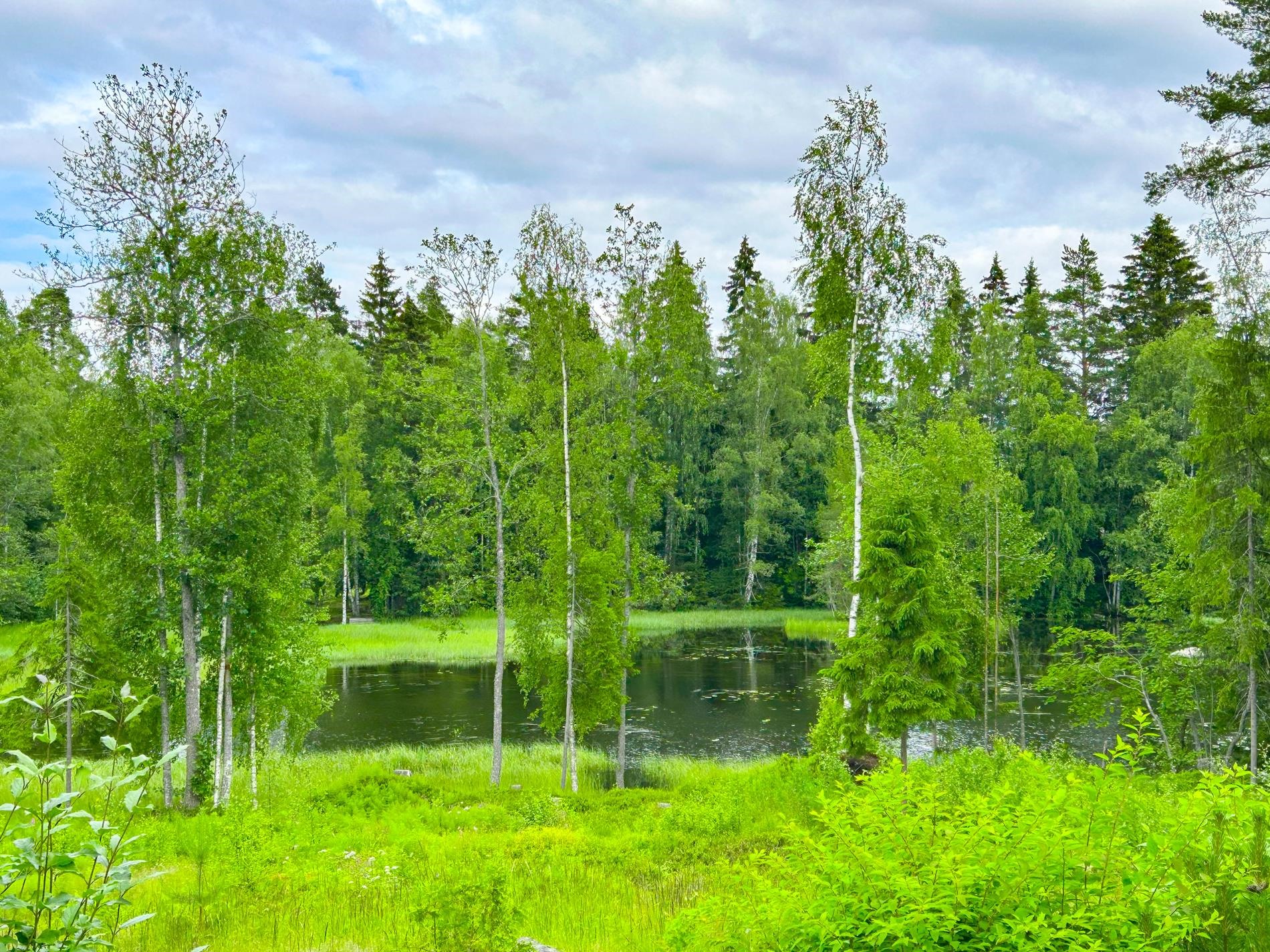 Kohdekuva 18