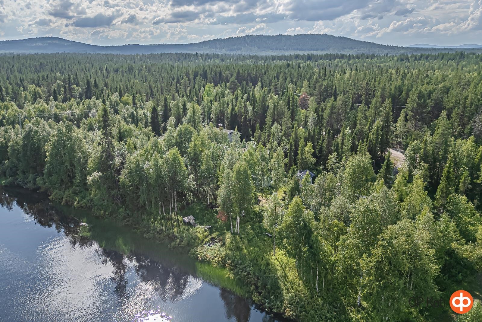 Kohdekuva 49