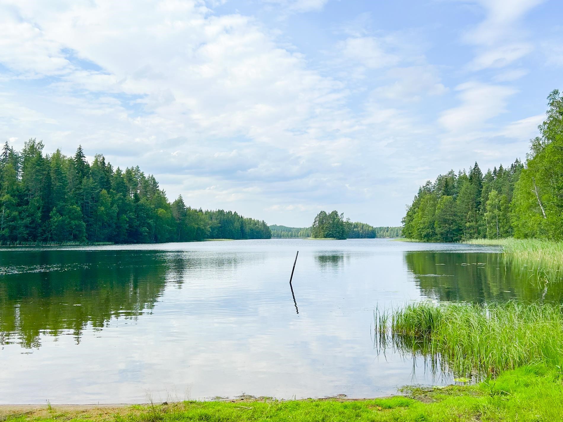 Kohdekuva 15
