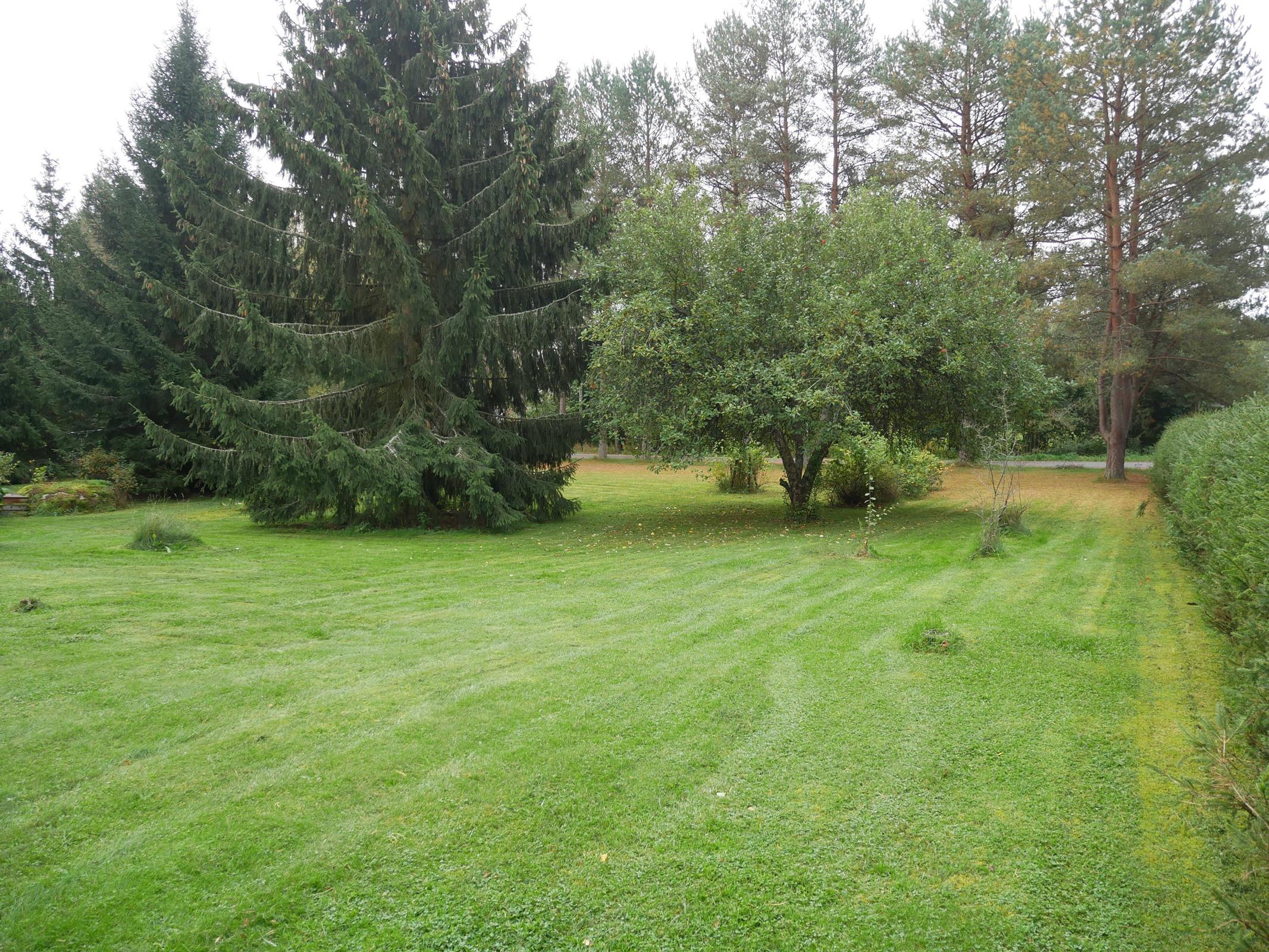 Kohdekuva 21