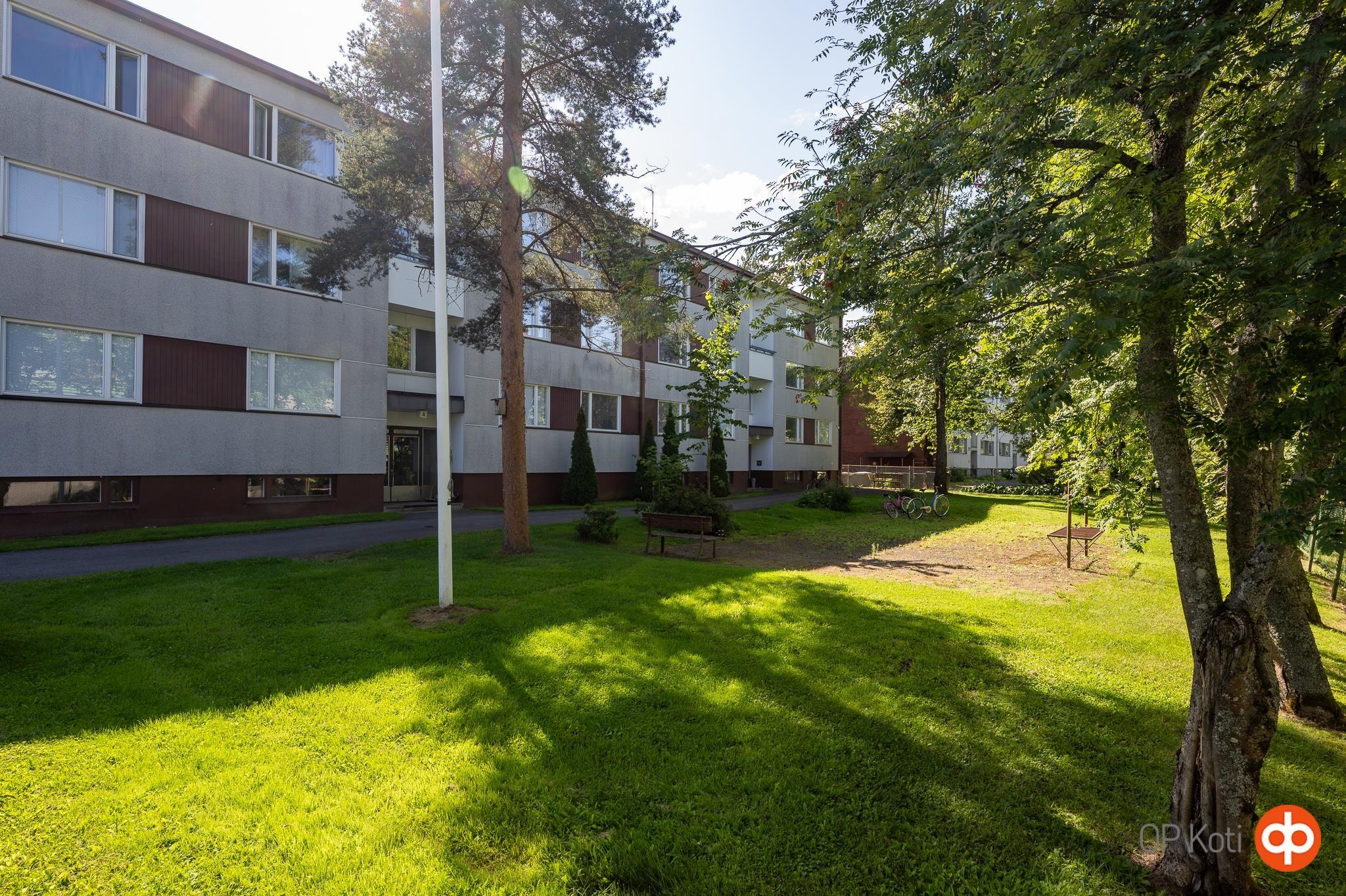 Kohdekuva 19