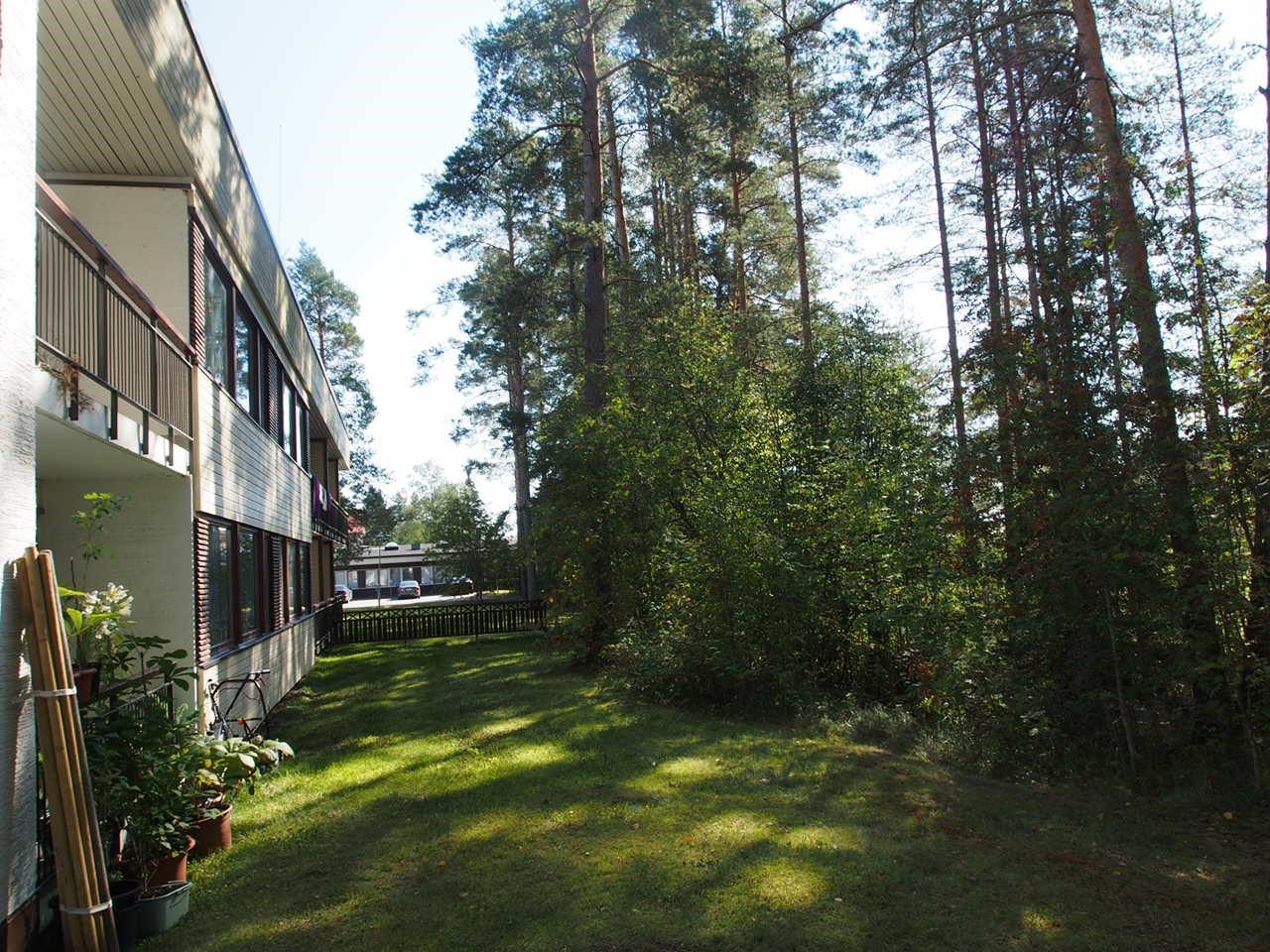 Kohdekuva 19