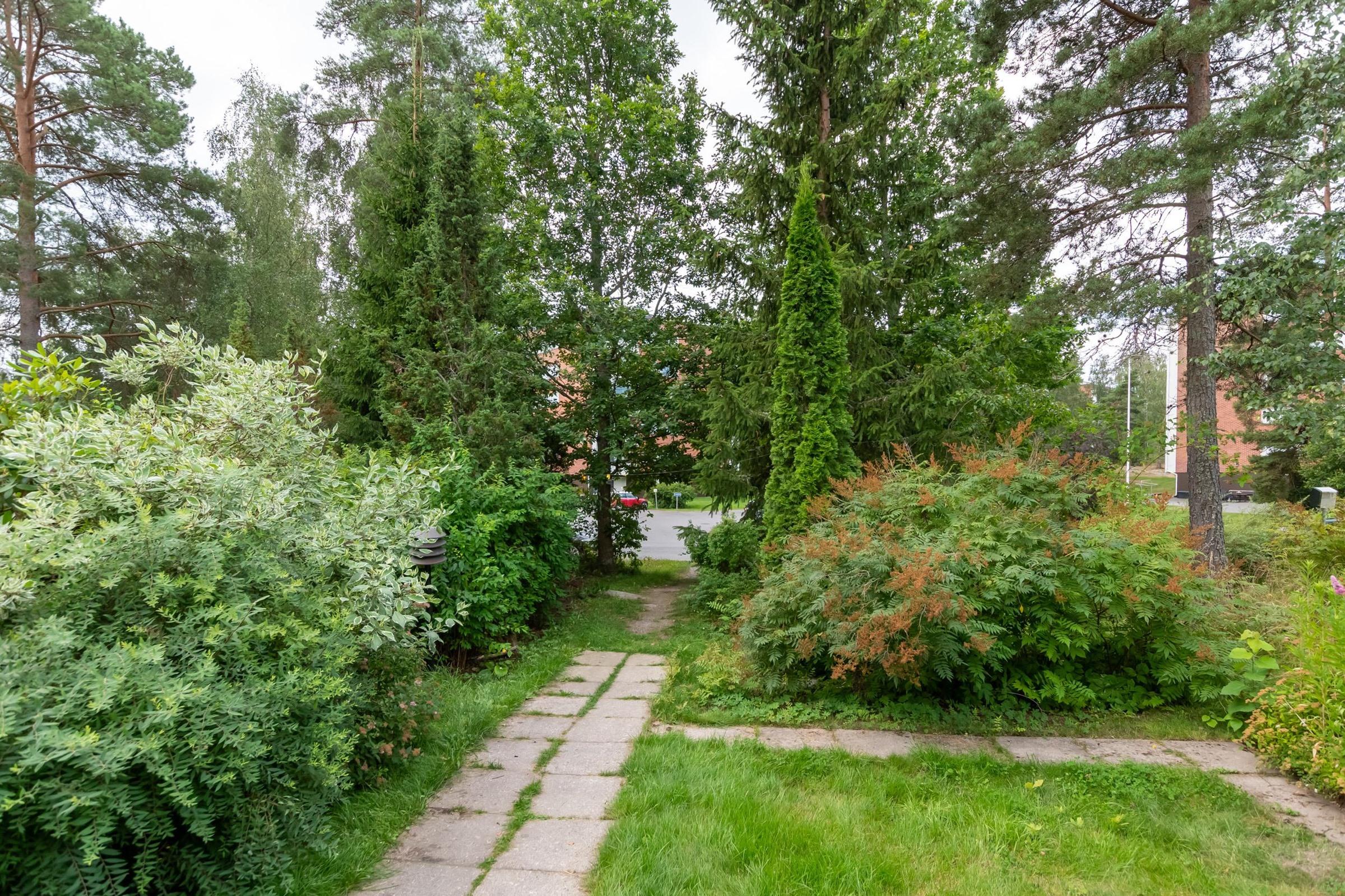 Kohdekuva 25