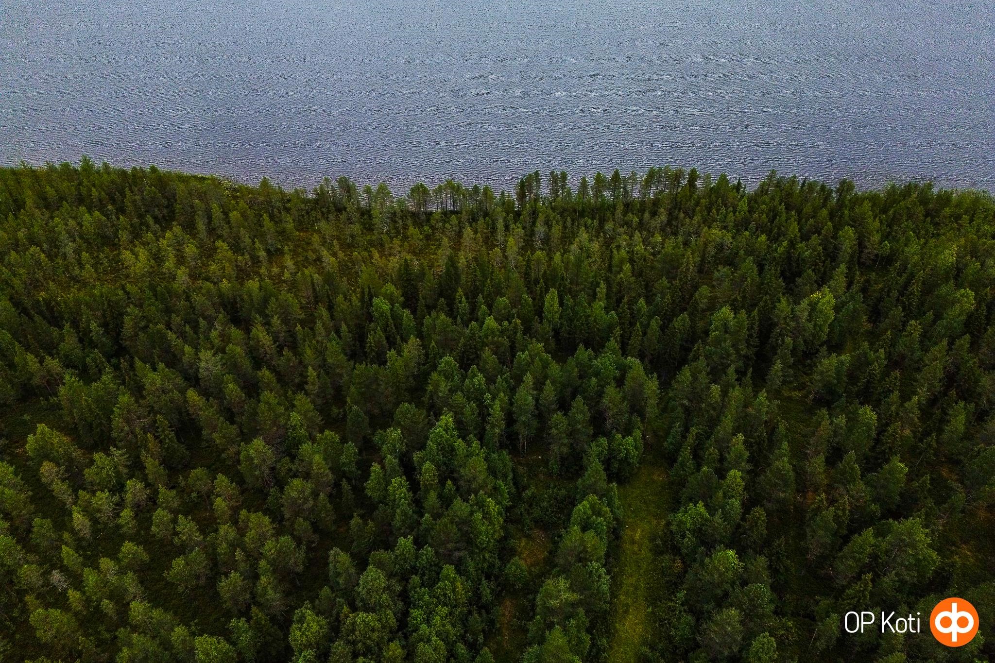 Kohdekuva 37