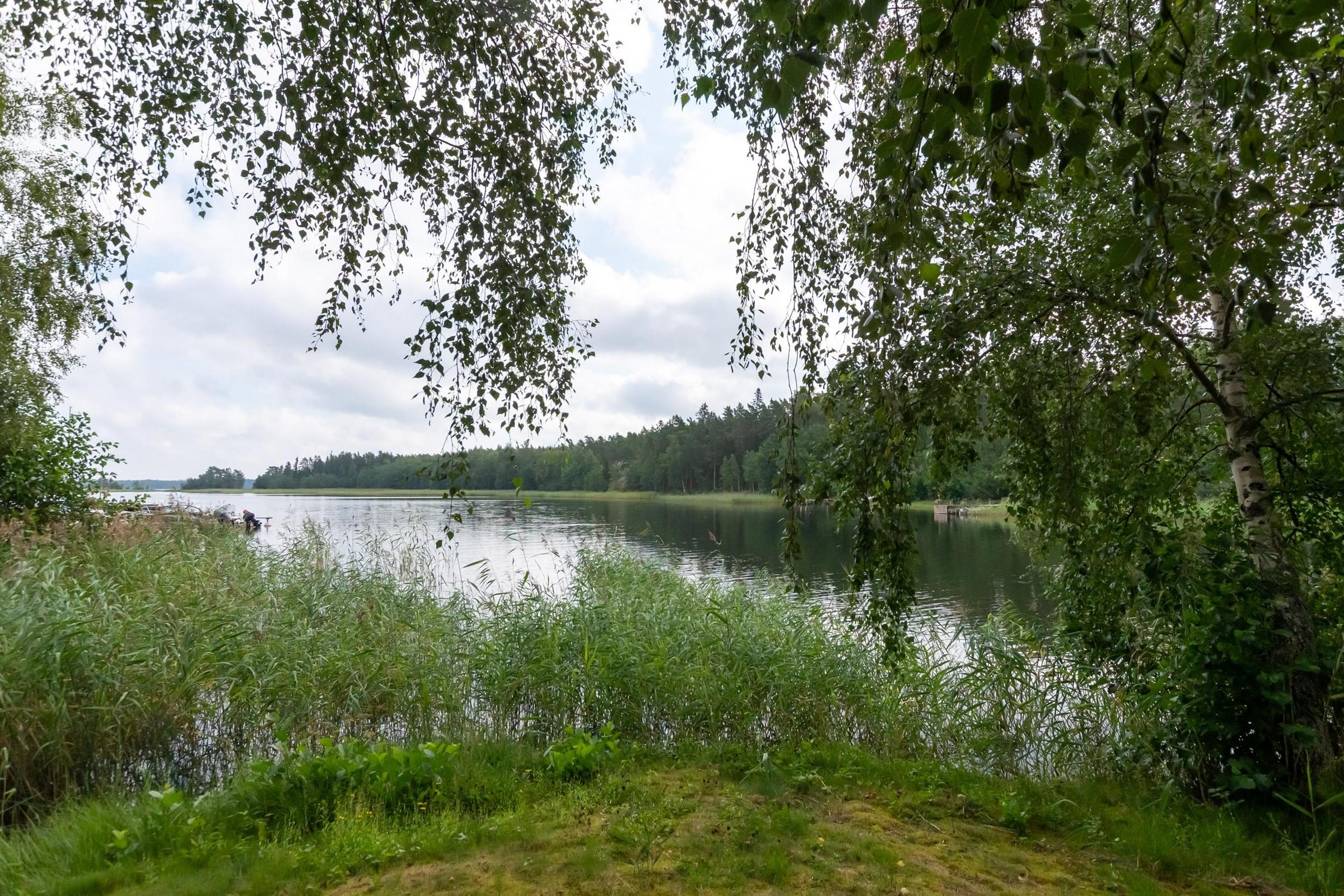 Kohdekuva 46