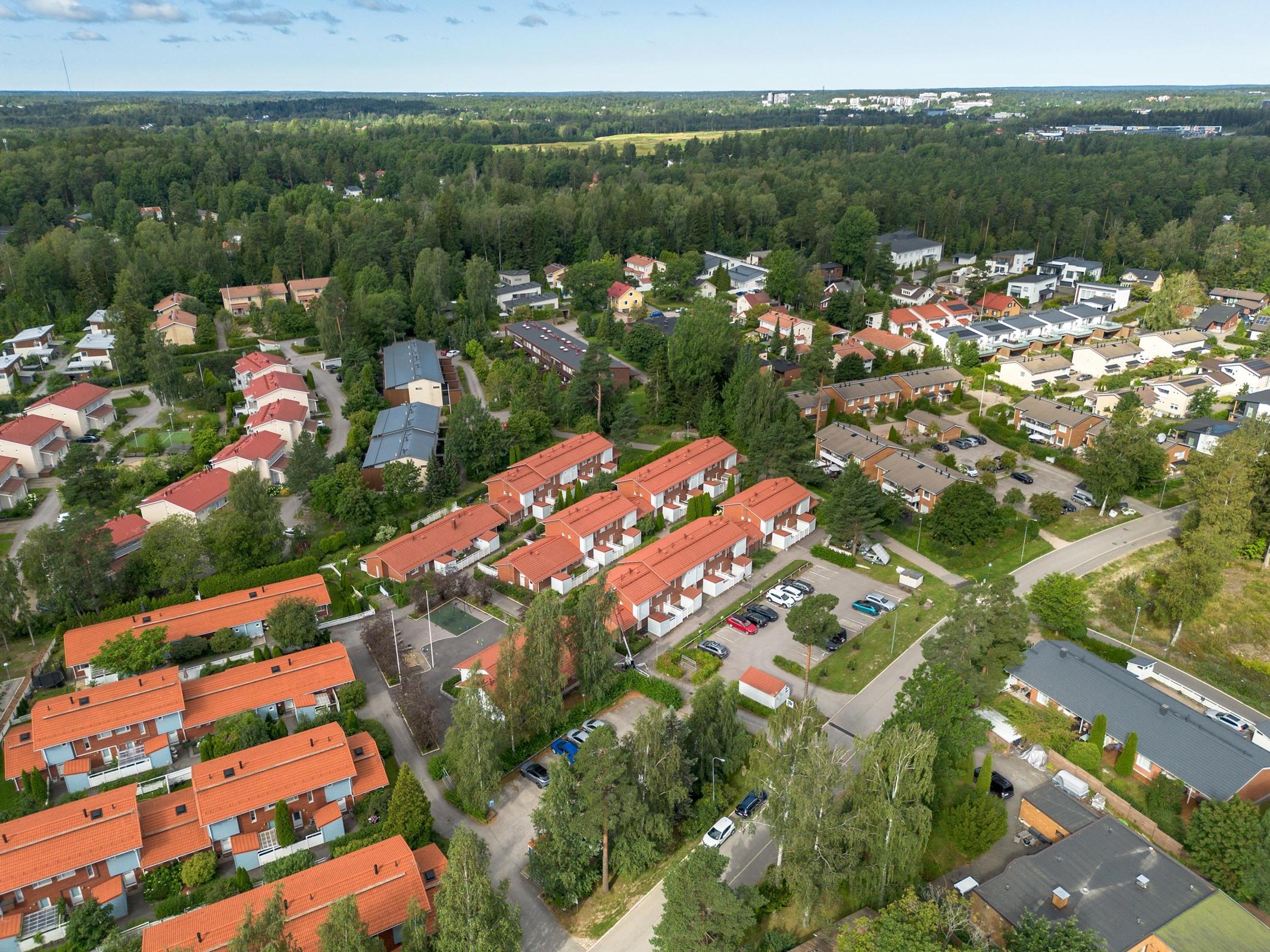 Kohdekuva 41