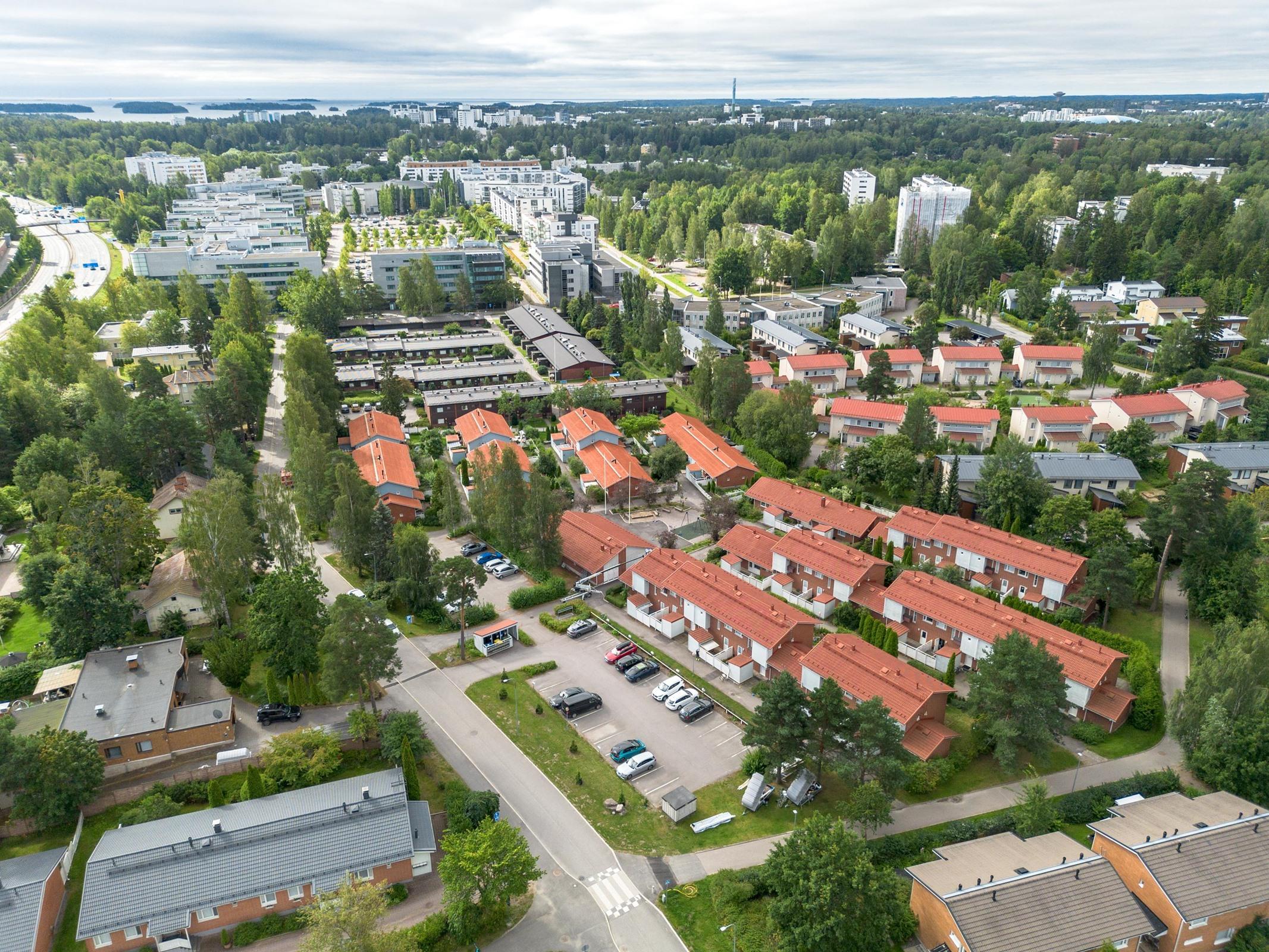 Kohdekuva 40