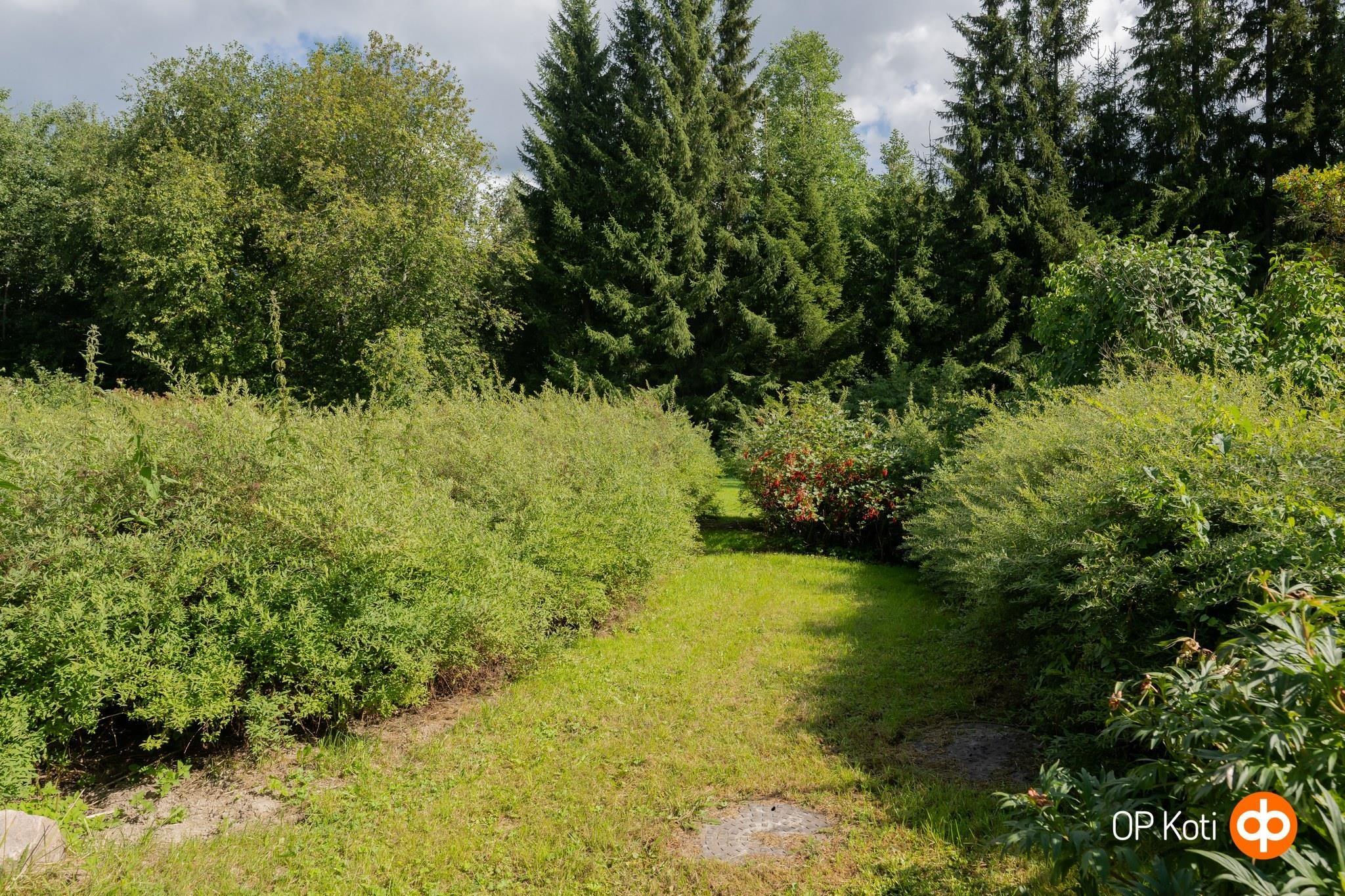 Kohdekuva 26