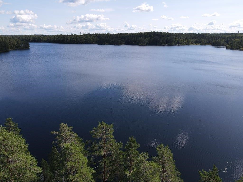 Kohdekuva 56