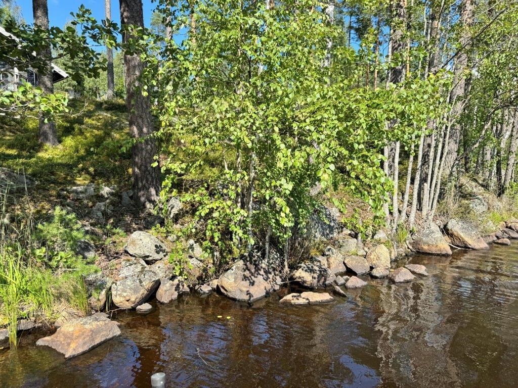 Kohdekuva 50