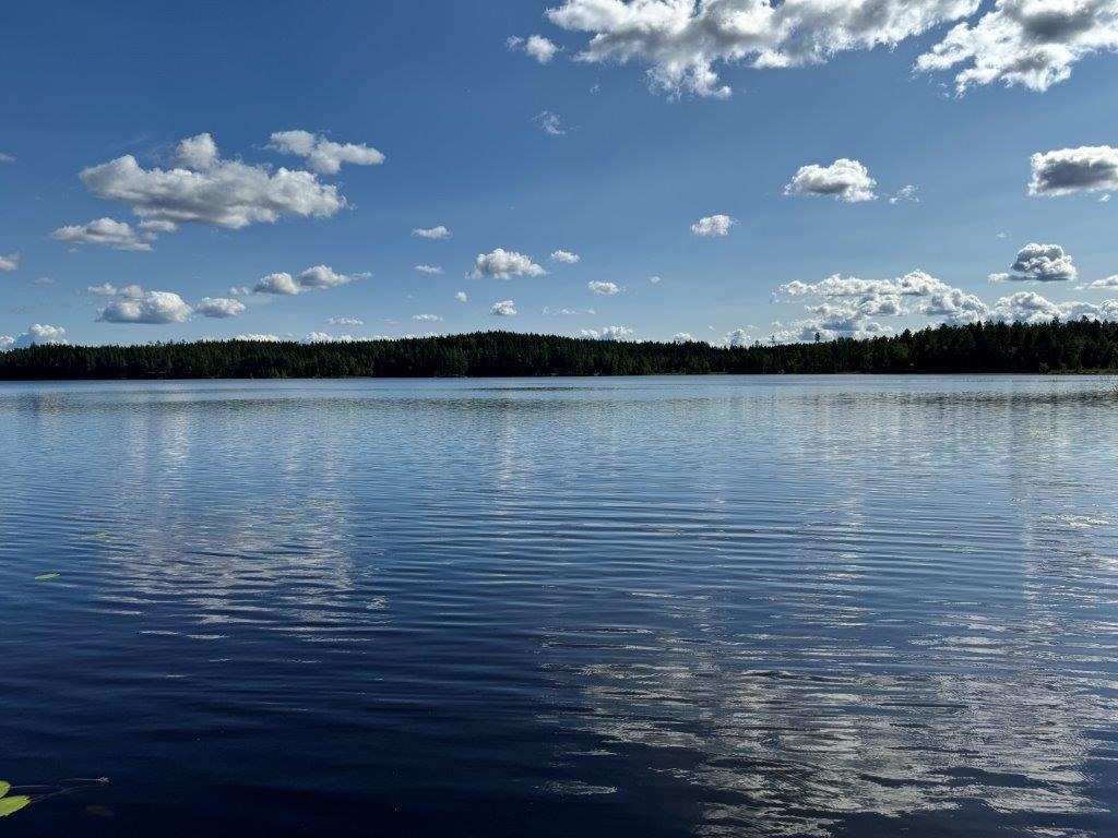 Kohdekuva 51