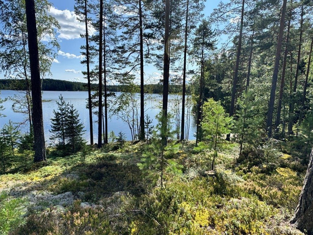 Kohdekuva 55