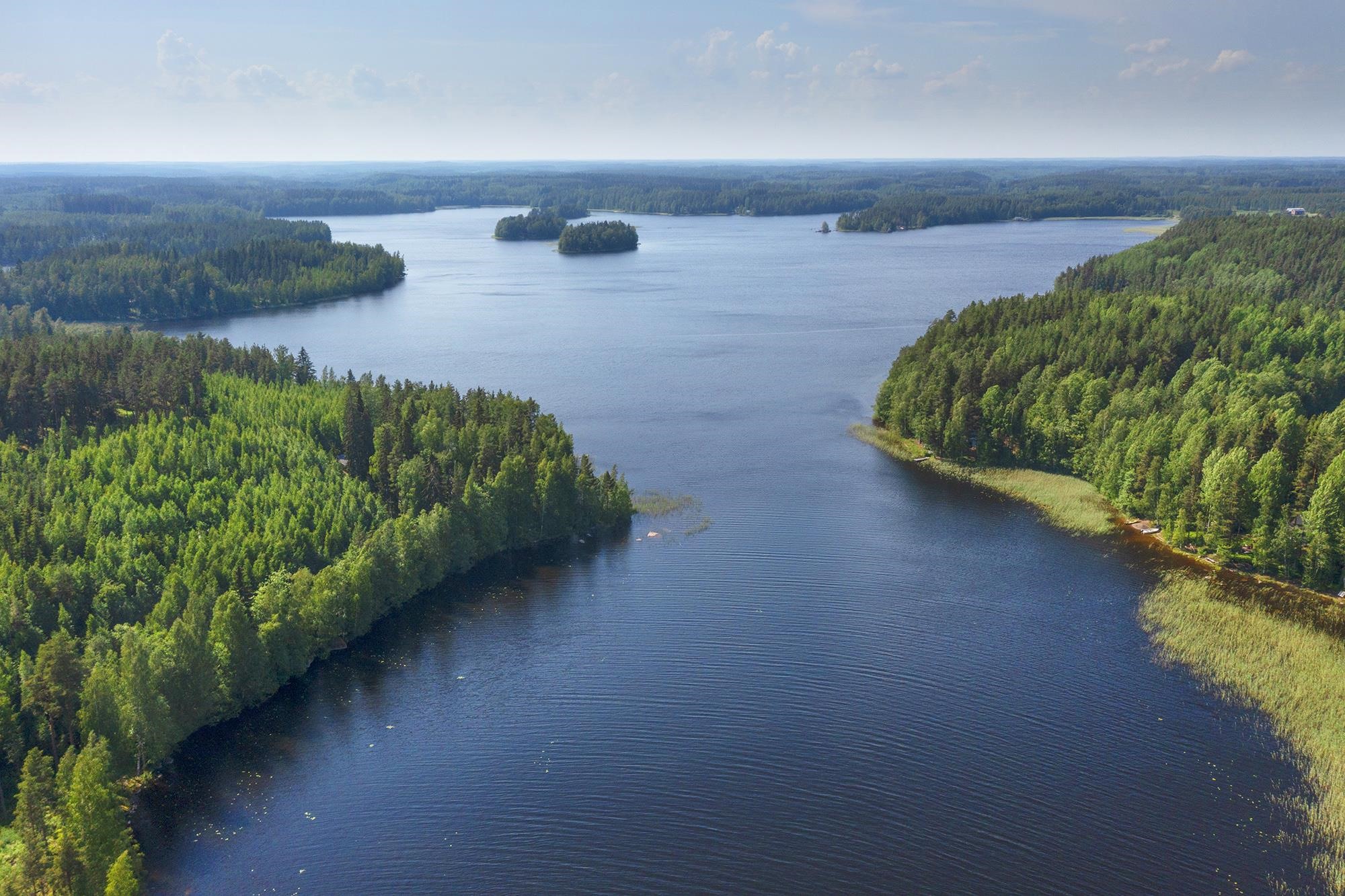 Kohdekuva 12