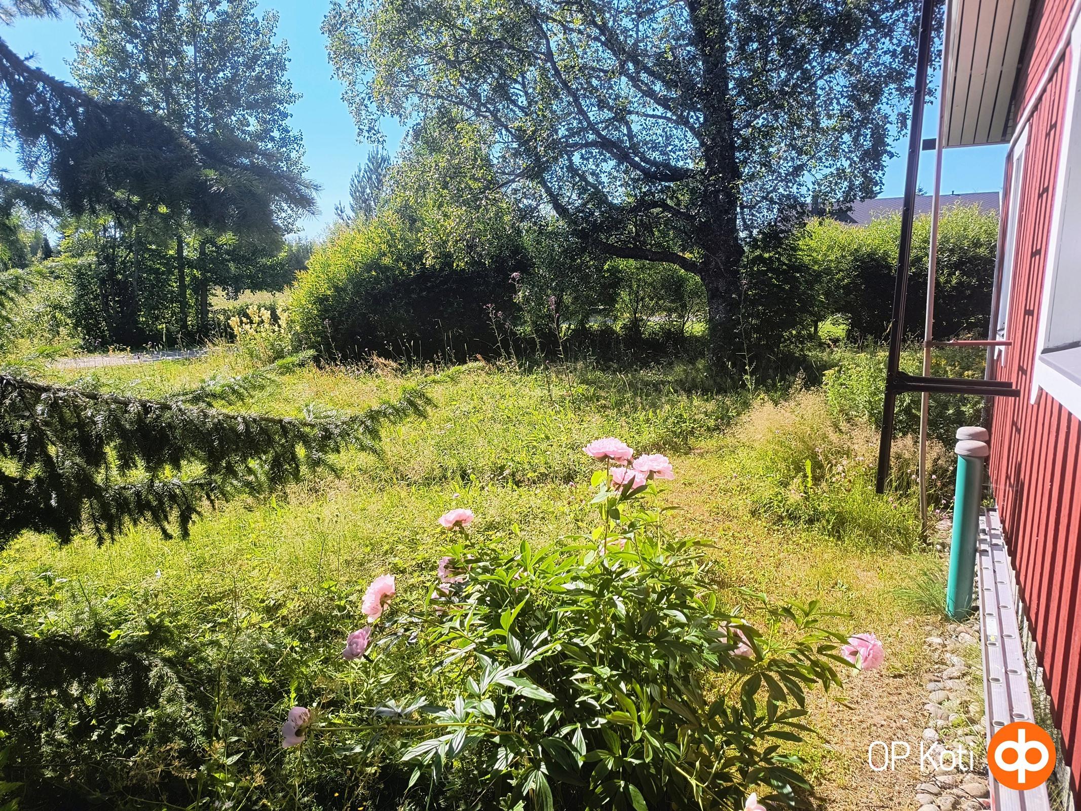 Kohdekuva 33