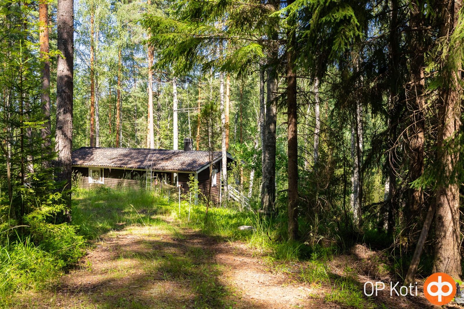 Kohdekuva 31