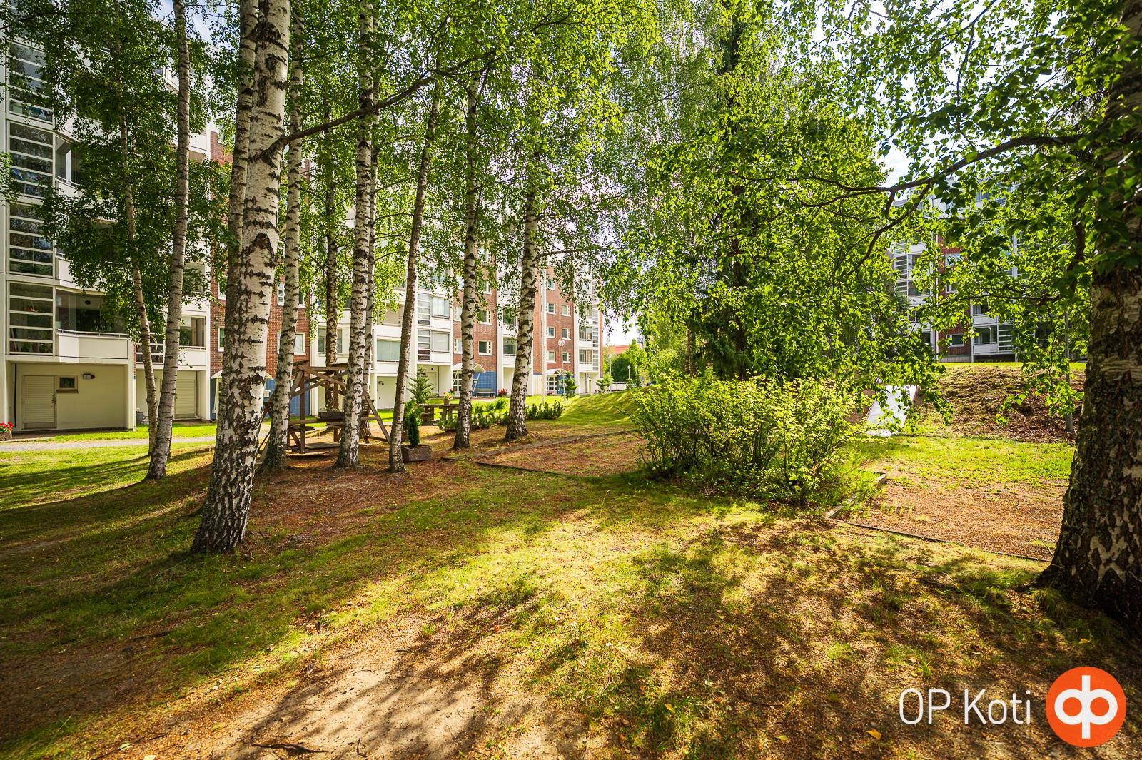 Kohdekuva 19