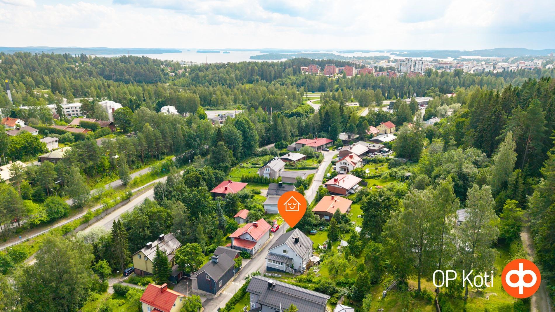 Kohdekuva 49