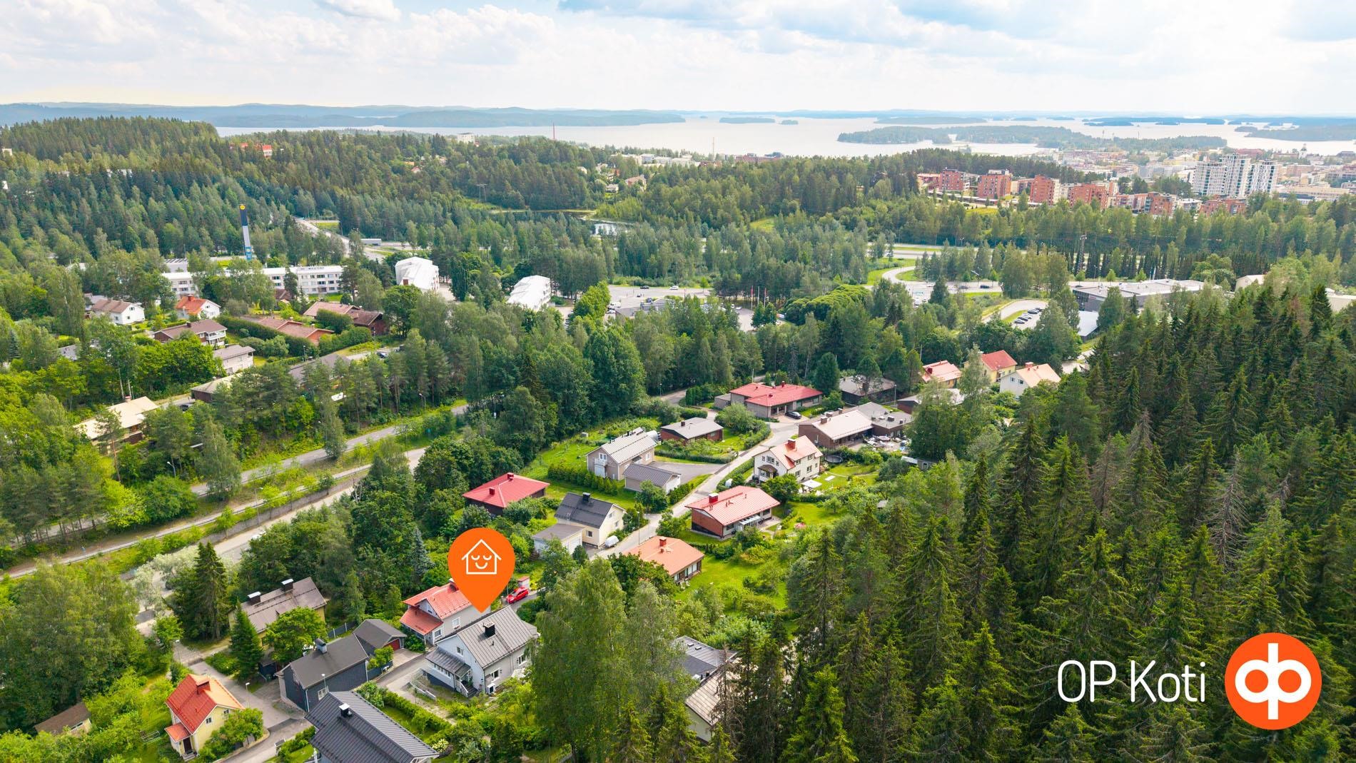 Kohdekuva 48
