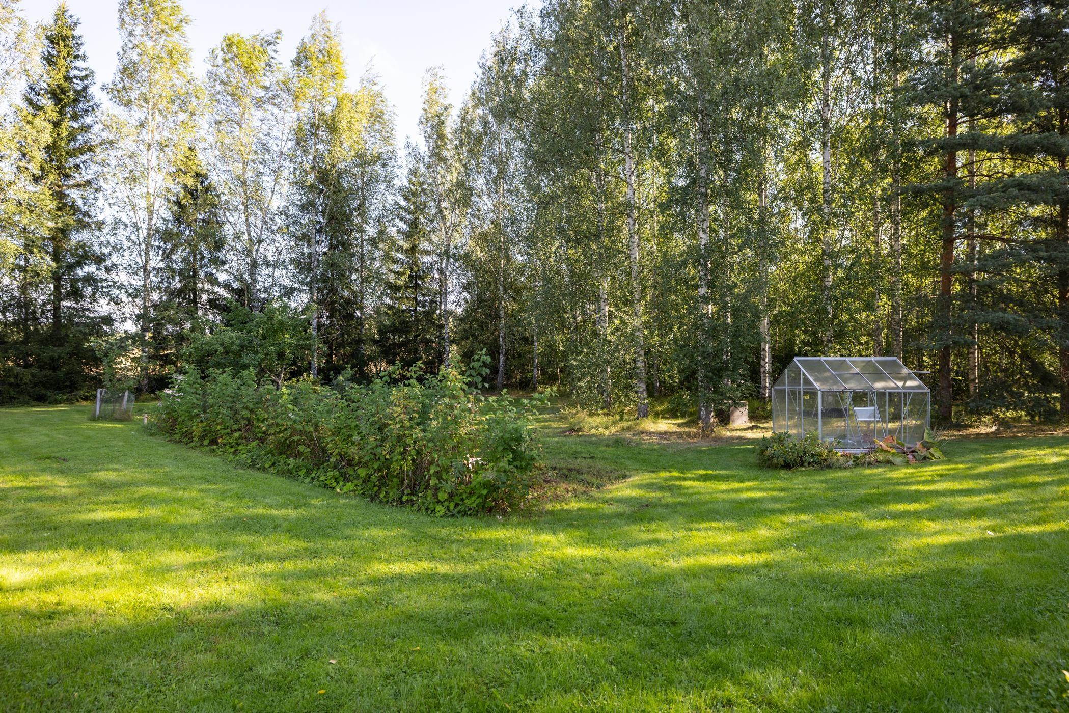 Kohdekuva 34
