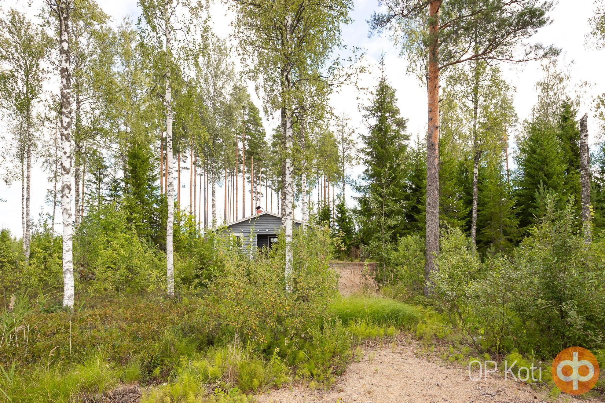 Kohdekuva 24