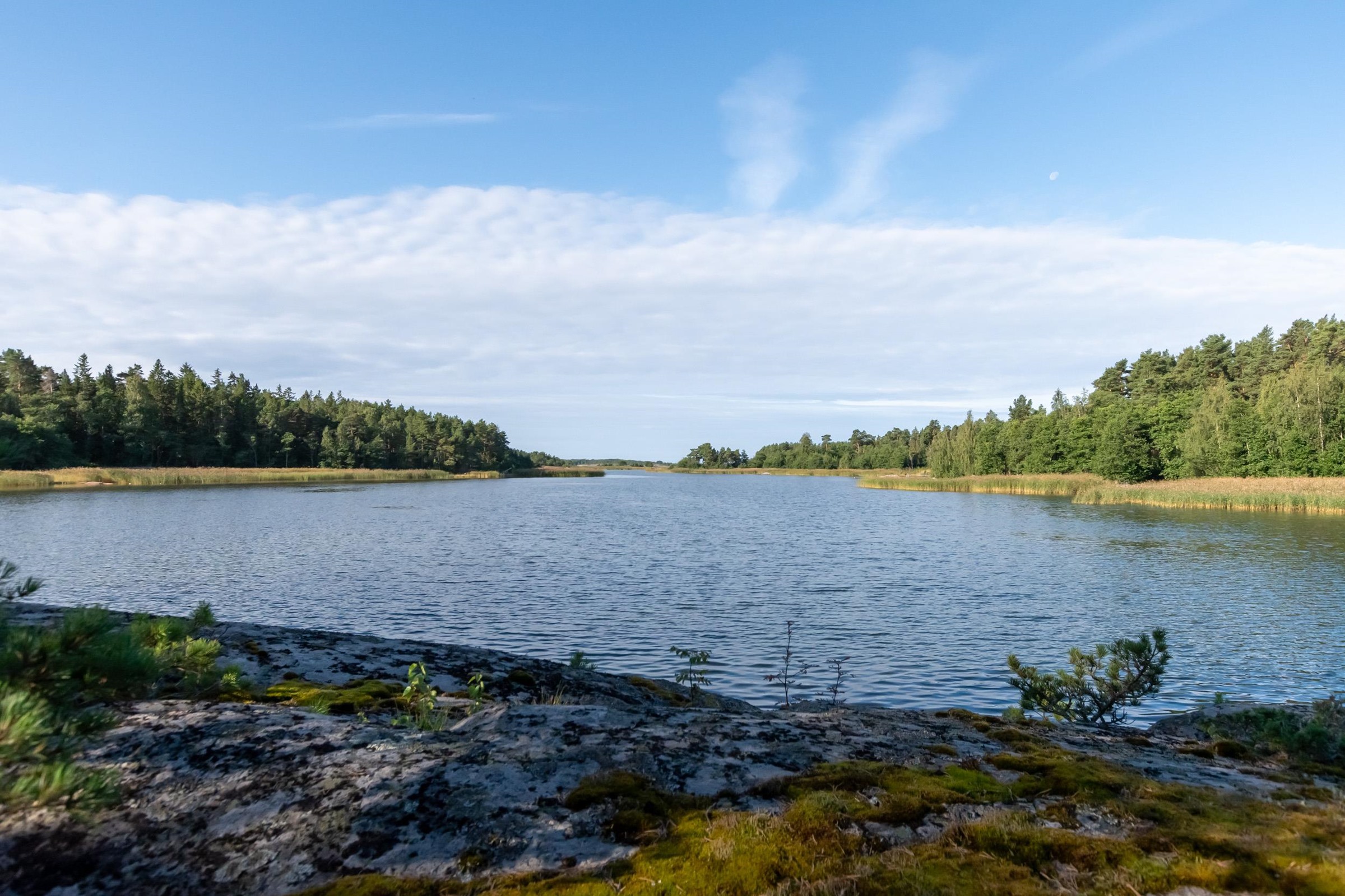 Kohdekuva 29