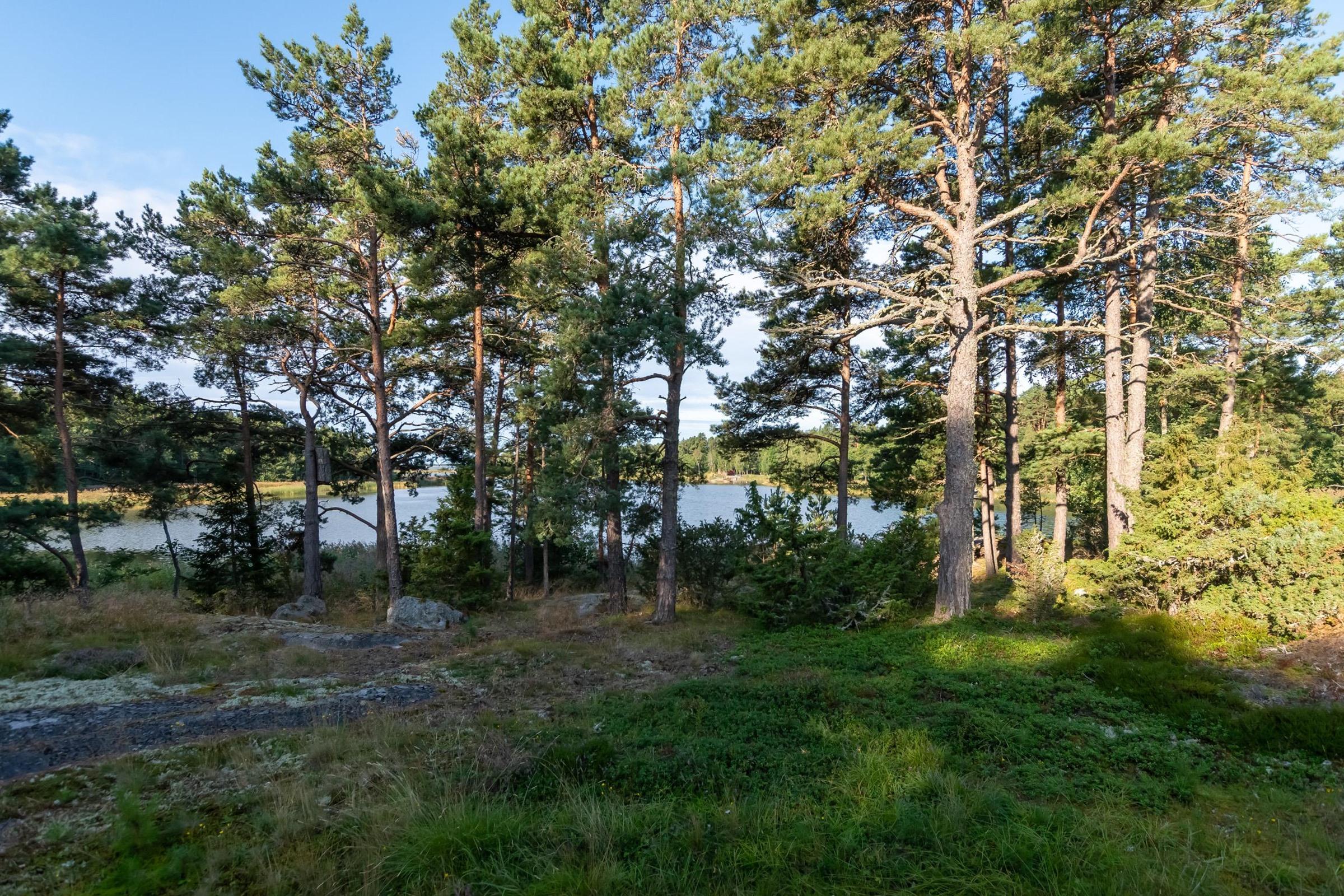 Kohdekuva 42