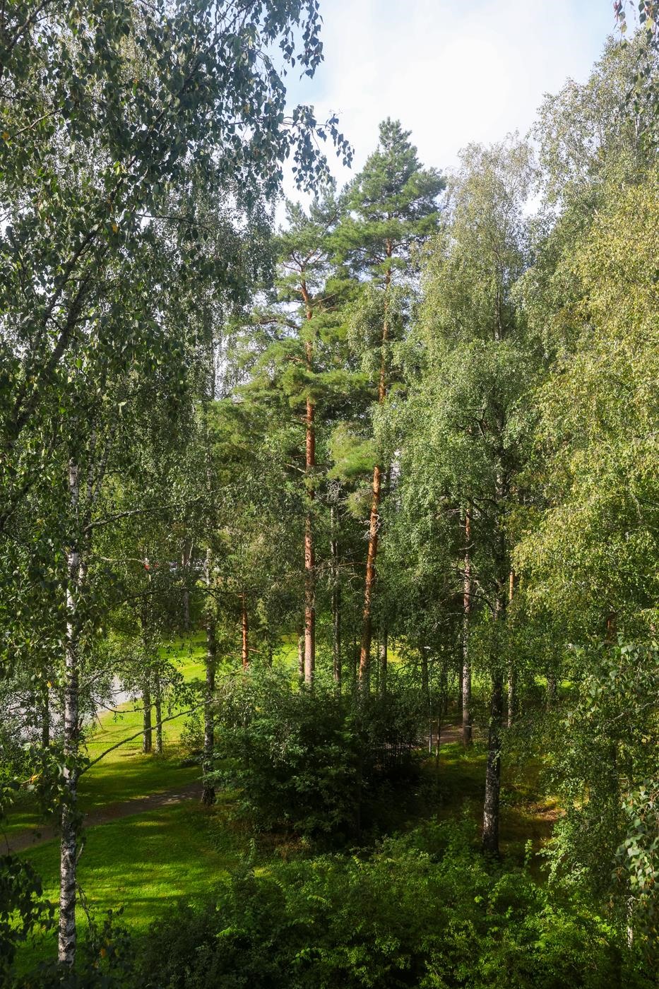 Kohdekuva 11