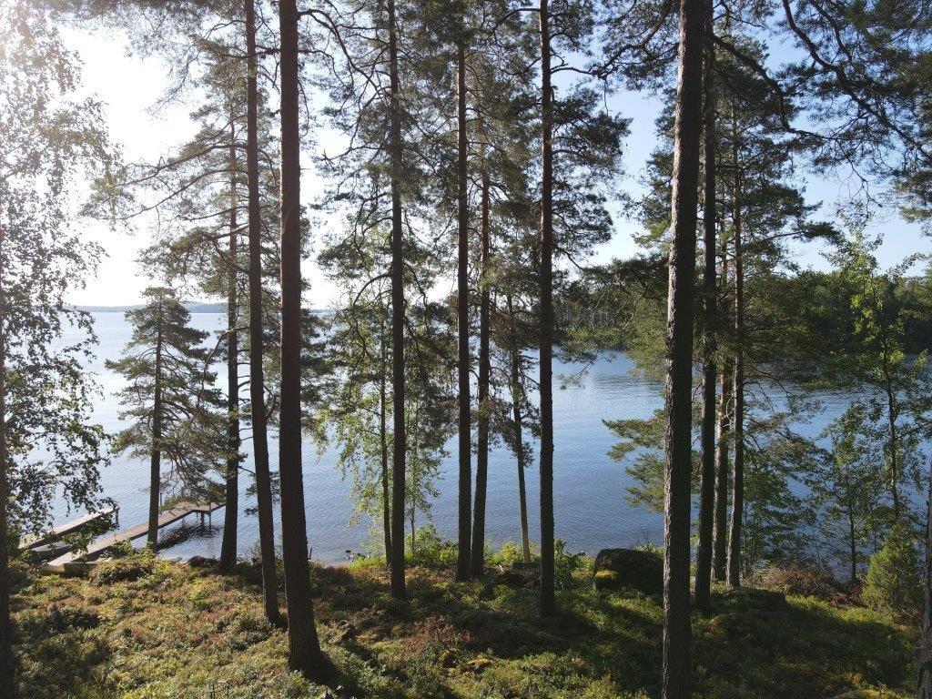 Kohdekuva 51